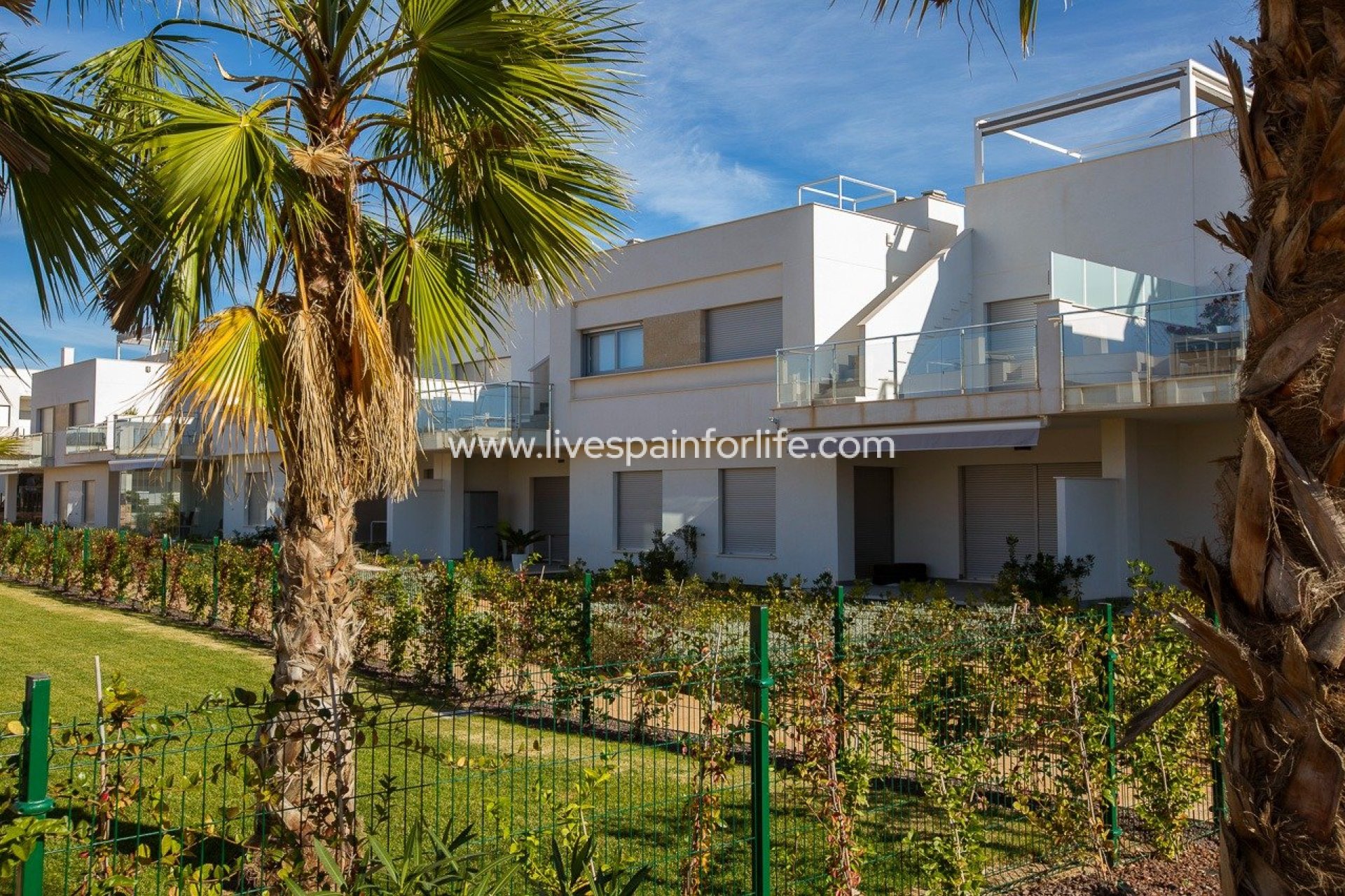 New build - Bungalow -
Orihuela - Vistabella Golf