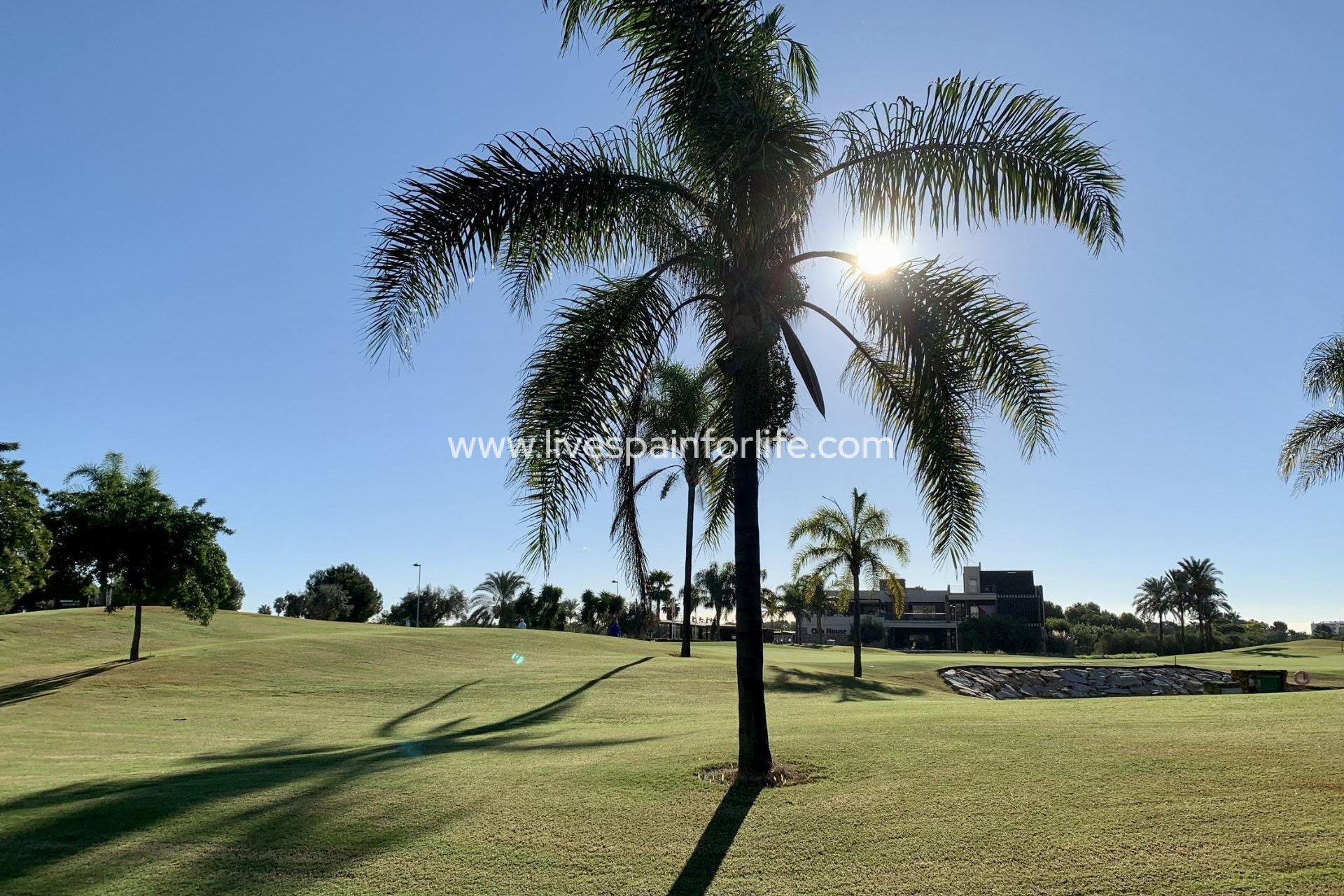 New build - Bungalow -
San Javier - Roda Golf