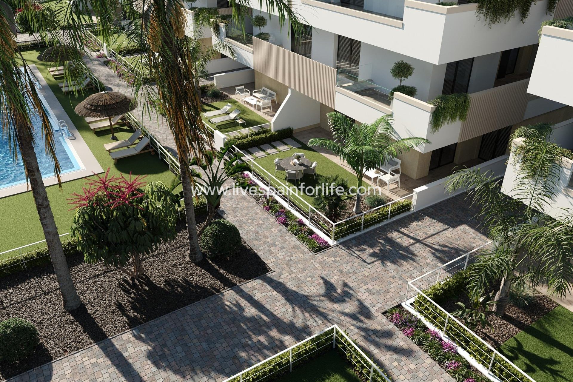 New build - Bungalow -
Torre Pacheco - Santa Rosalía