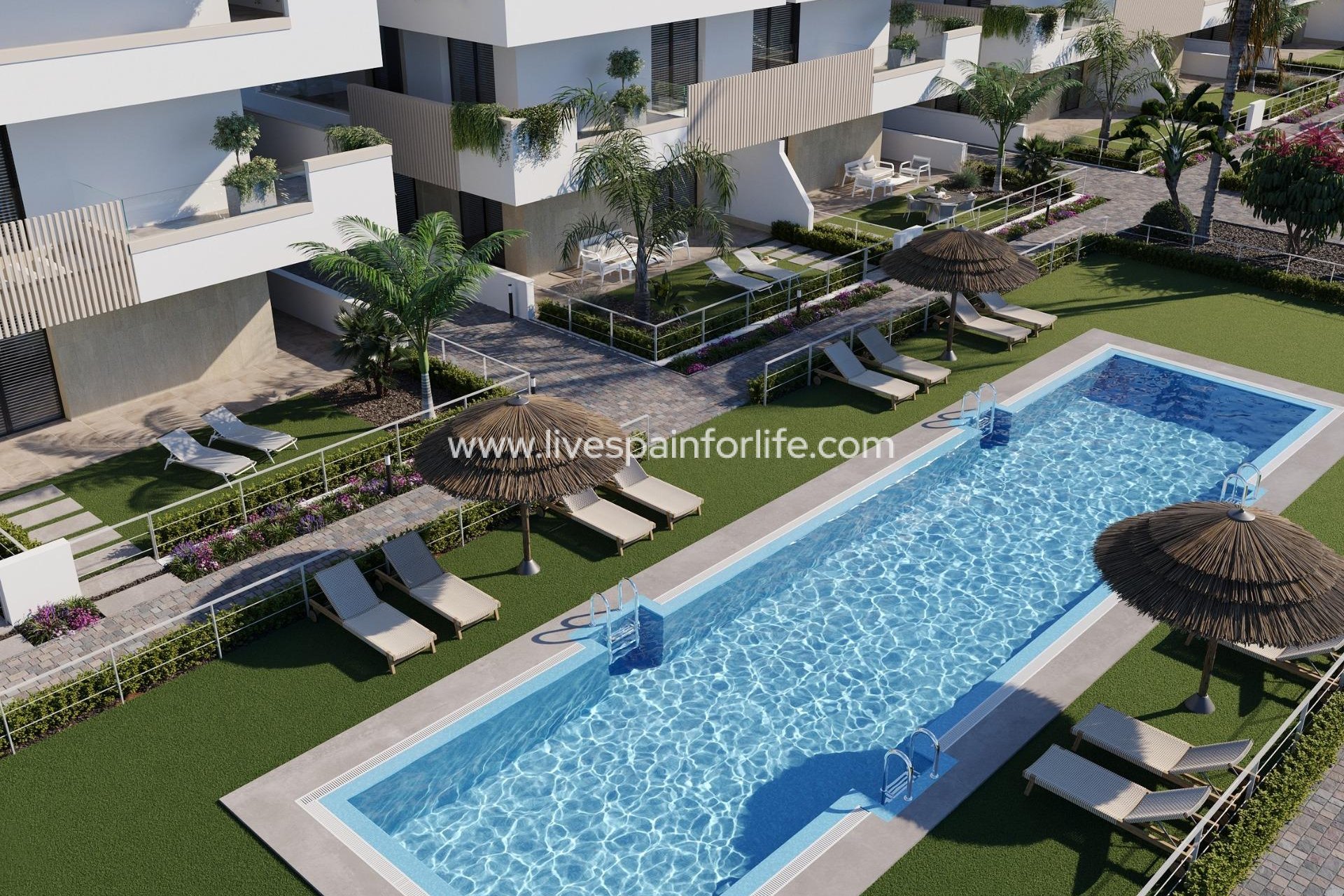 New build - Bungalow -
Torre Pacheco - Santa Rosalía