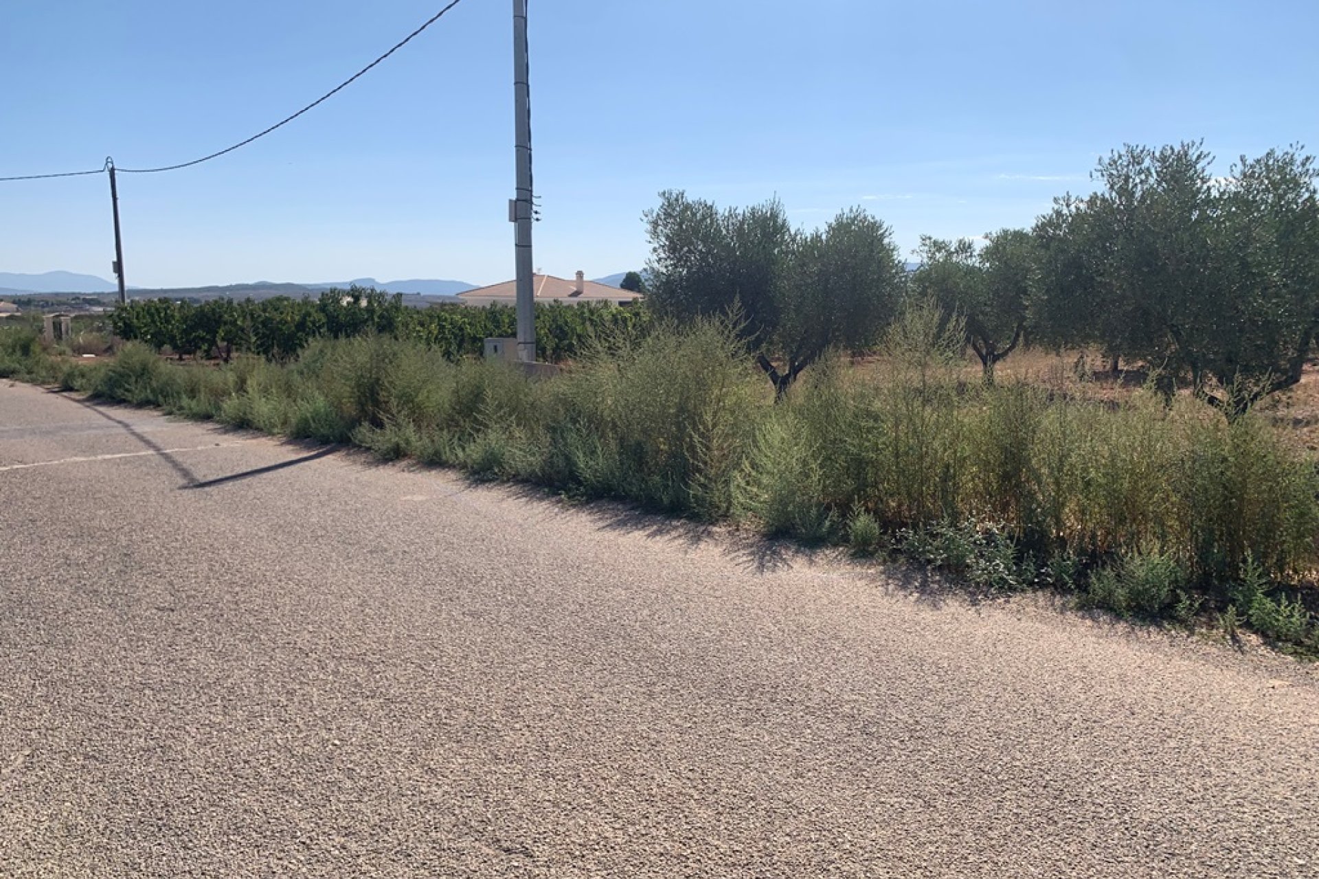 New build - Country Property -
Alicante