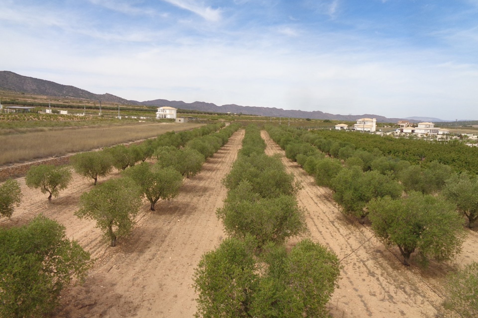 New build - Country Property -
Alicante