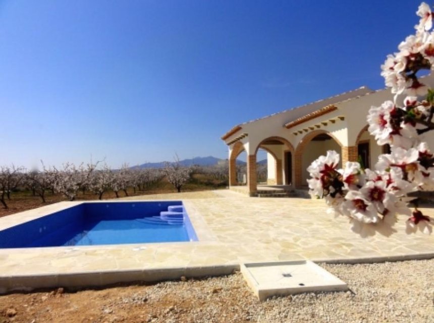 New build - Country Property -
Pinoso