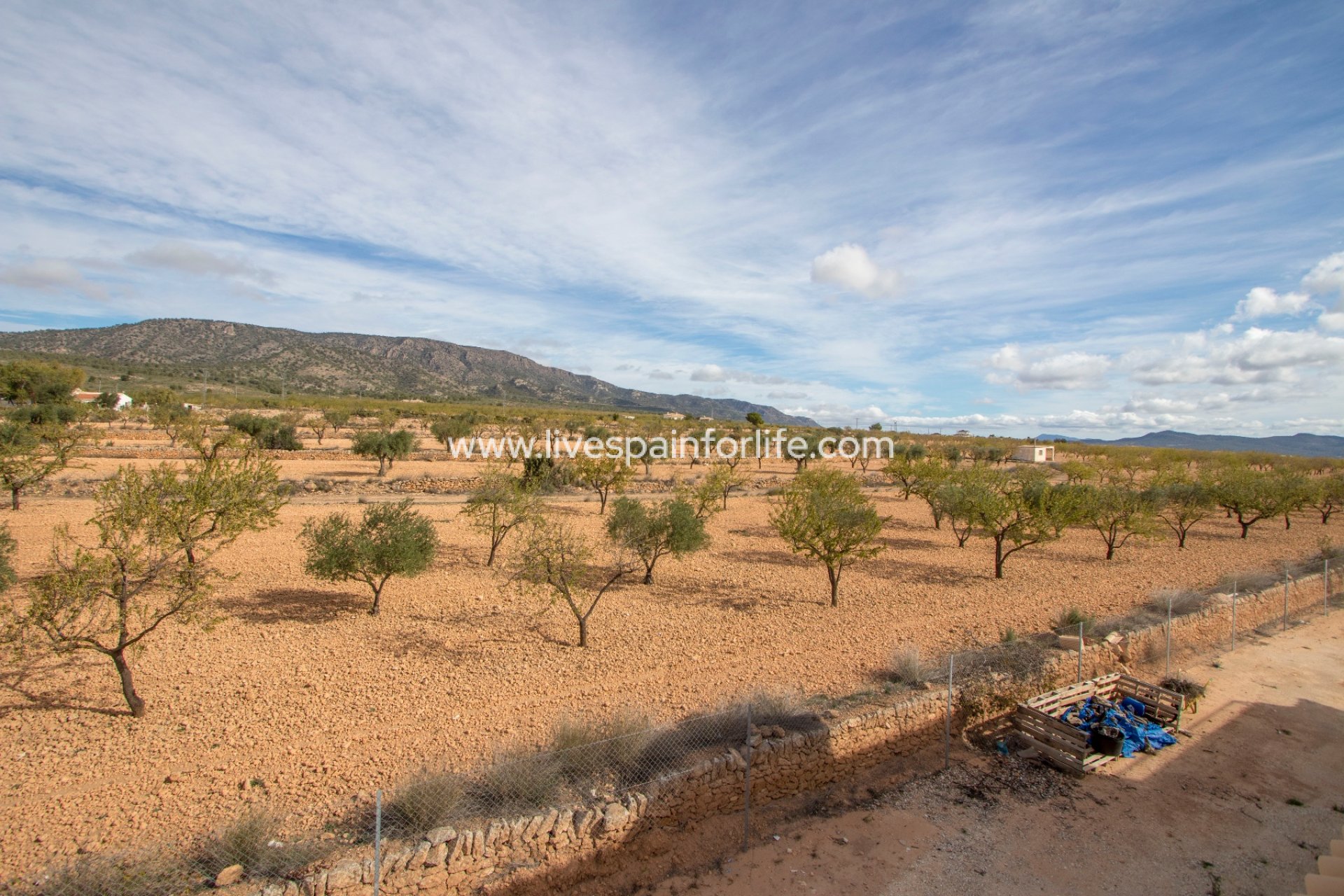 New build - Country Property -
Pinoso