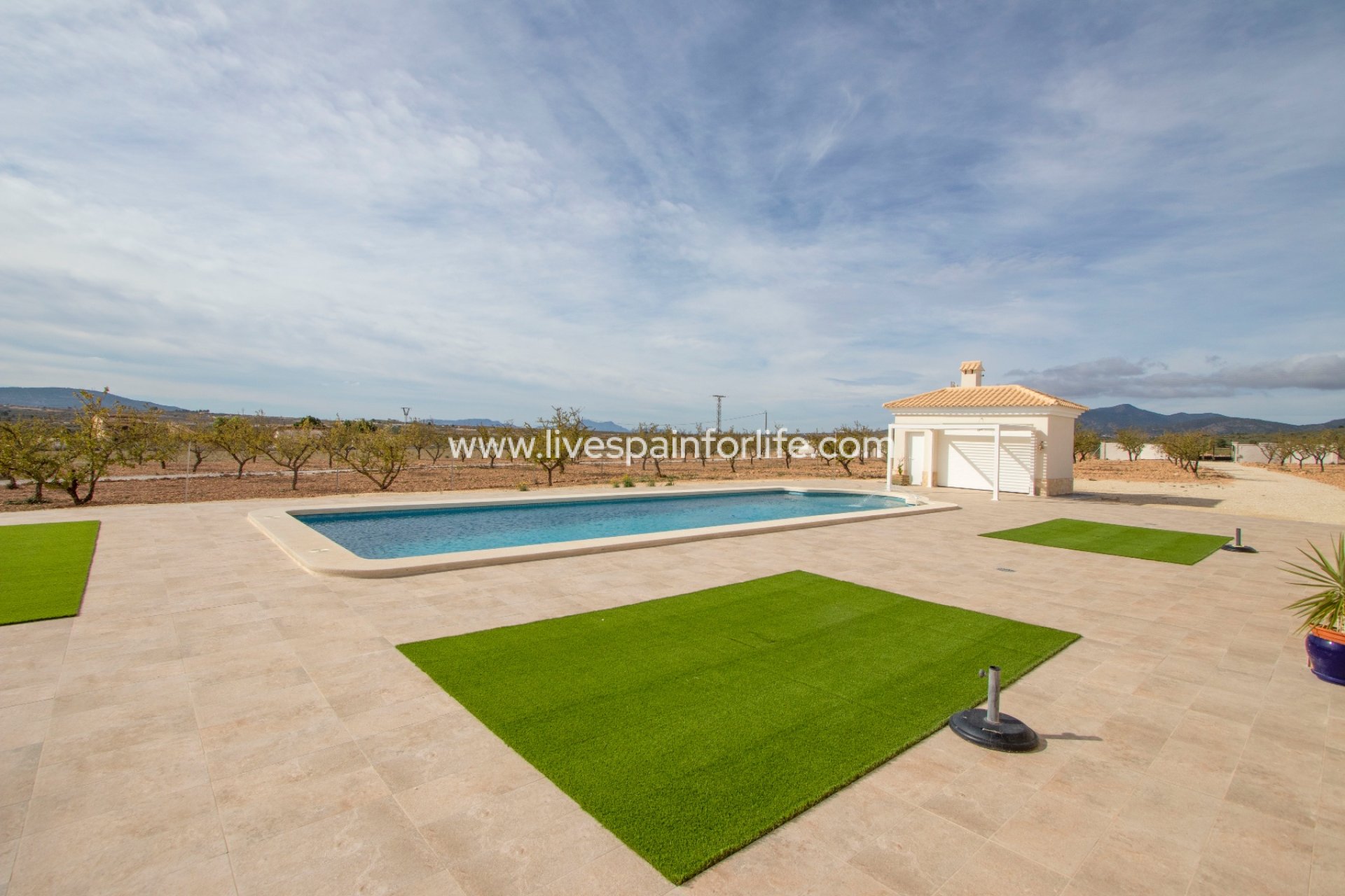 New build - Country Property -
Pinoso