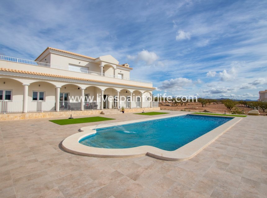 New build - Country Property -
Pinoso