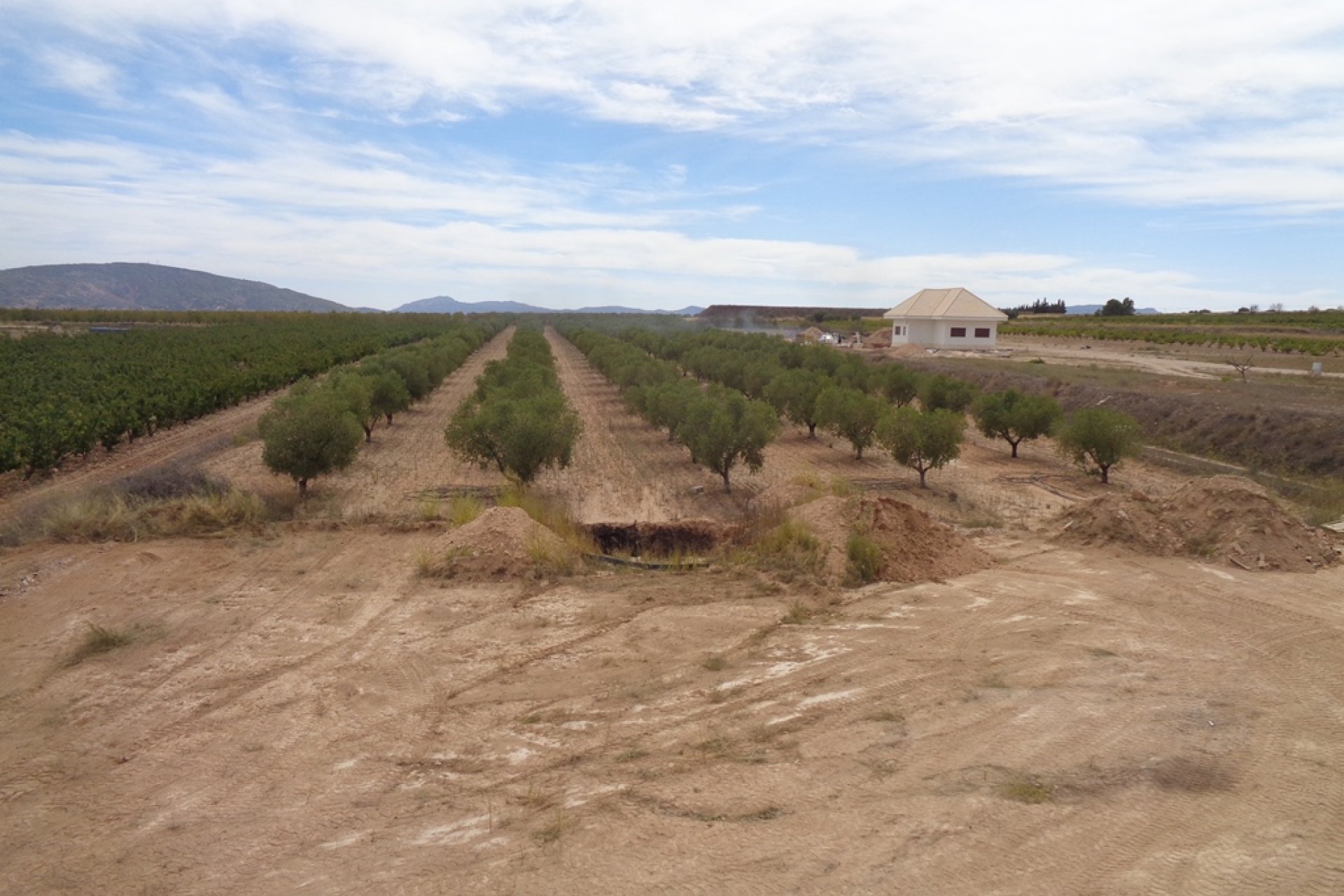 New build - Country Property -
Pinoso