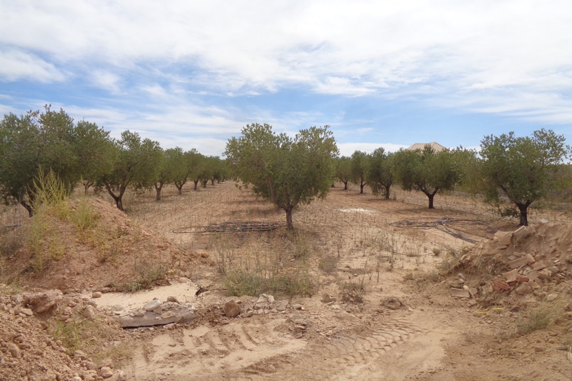 New build - Country Property -
Pinoso