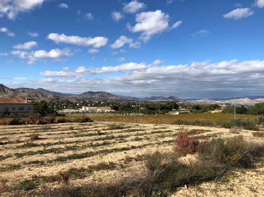 New build - Plot of Land -
Aspe