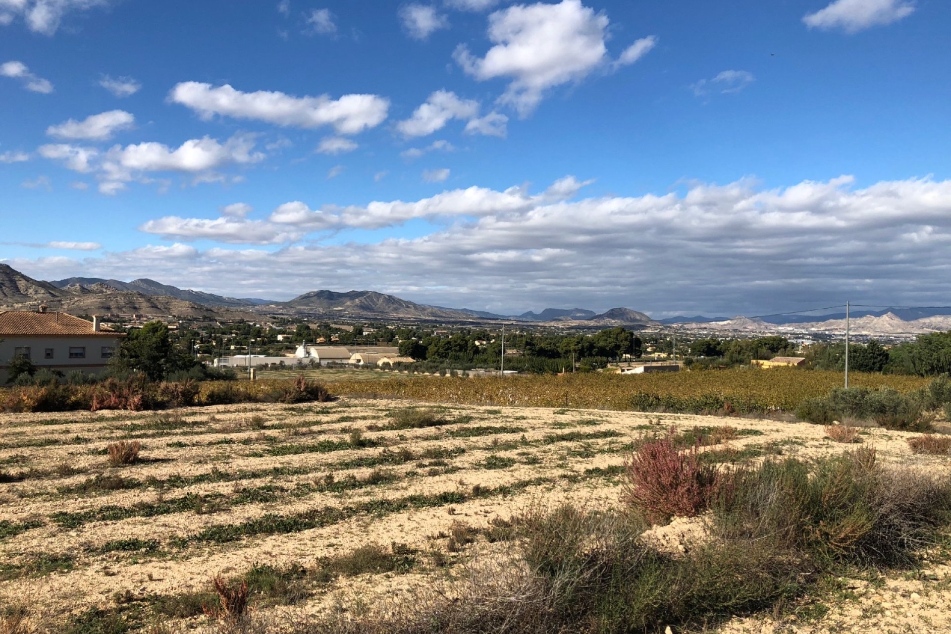 New build - Plot of Land -
Aspe