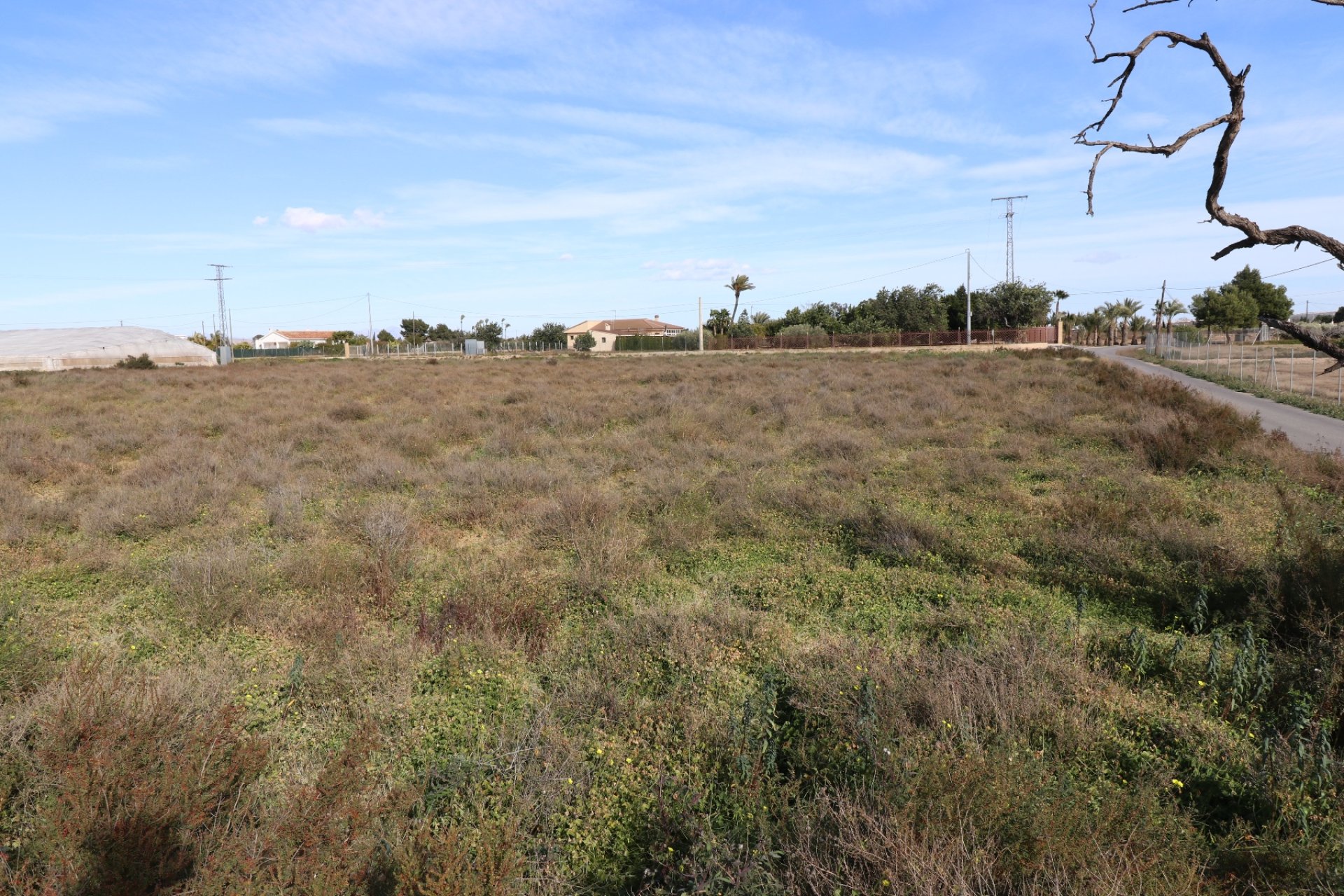 New build - Plot of Land -
Elche