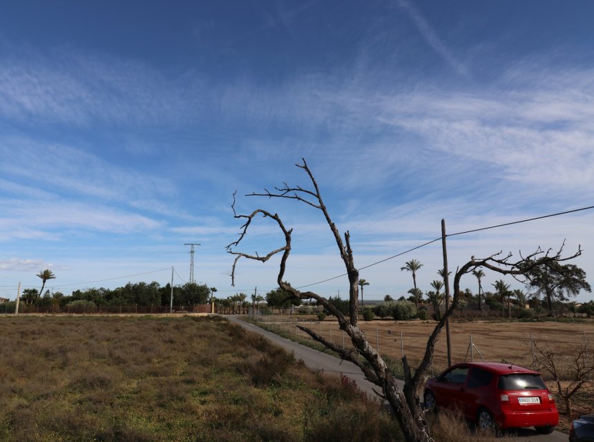 New build - Plot of Land -
Elche