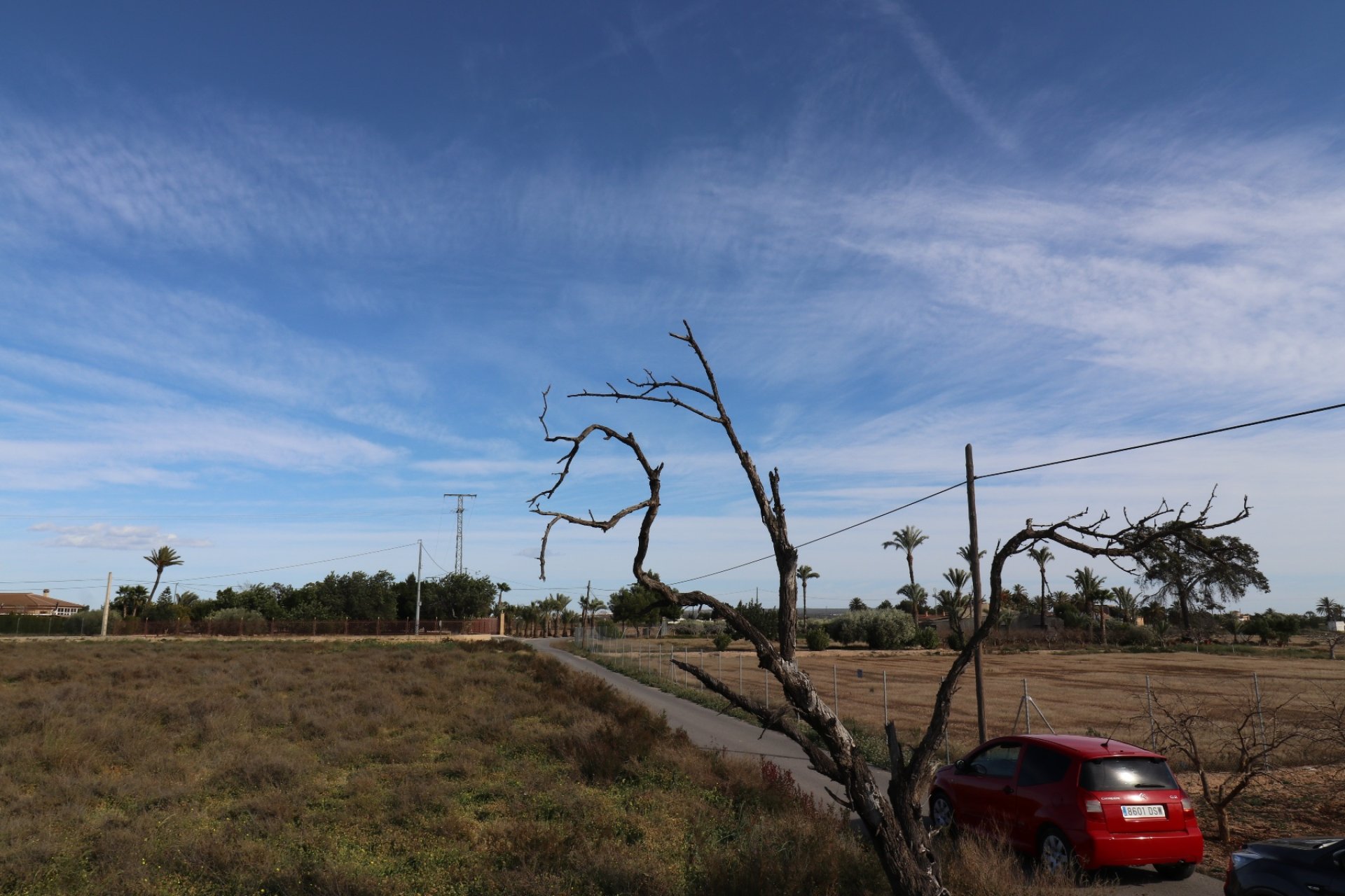 New build - Plot of Land -
Elche