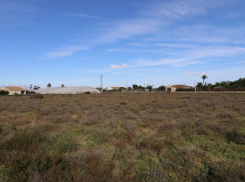 New build - Plot of Land -
Elche