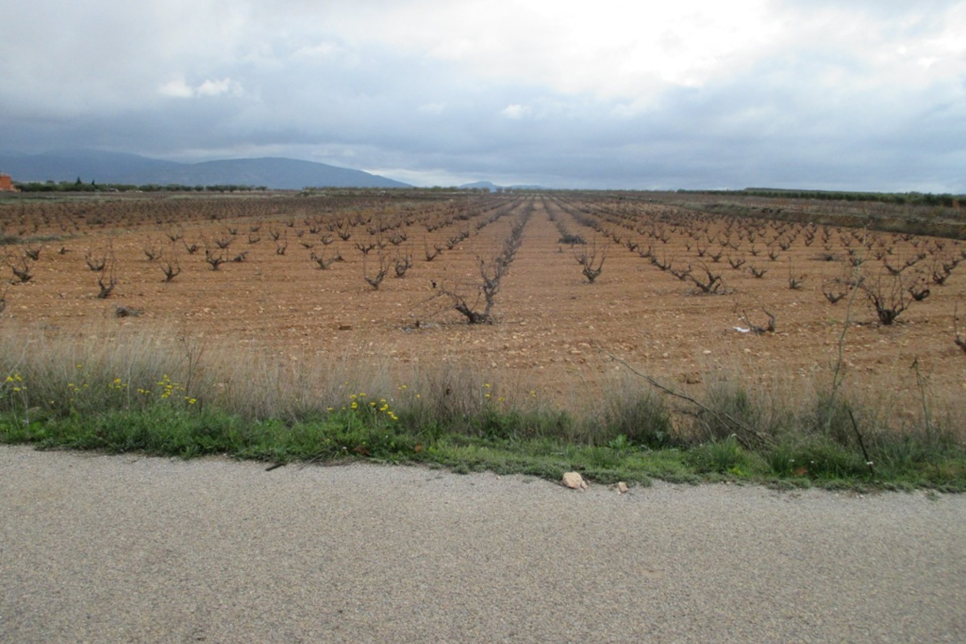 New build - Plot of Land -
Pinoso