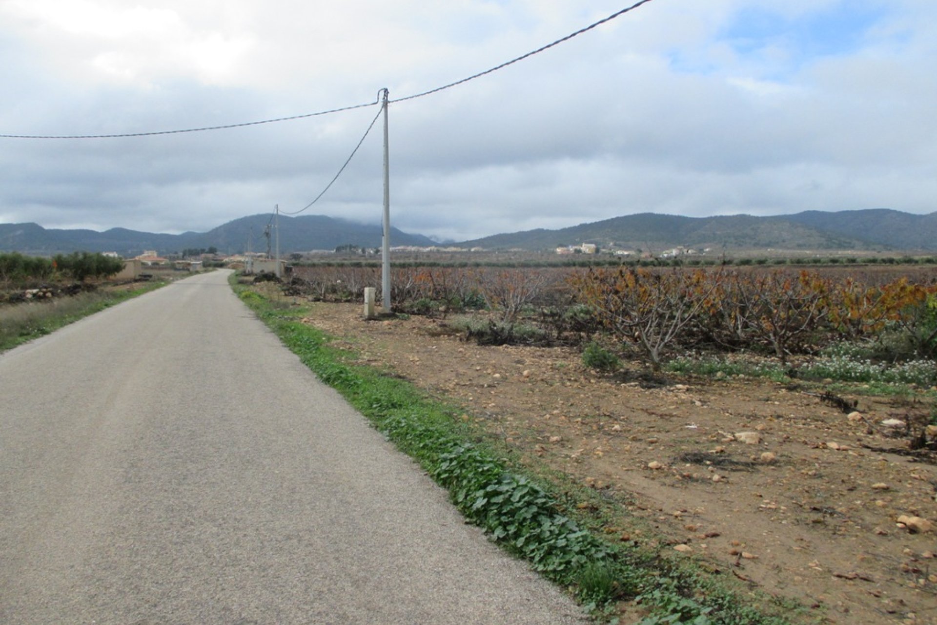 New build - Plot of Land -
Pinoso