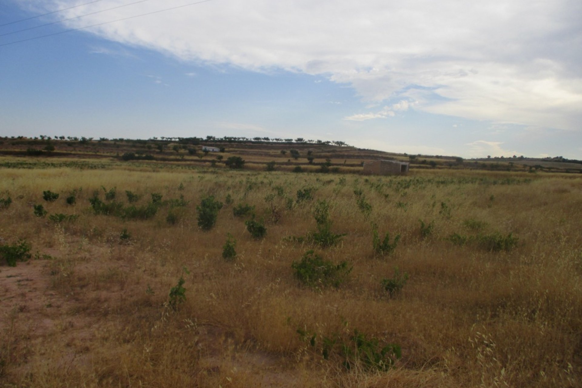 New build - Plot of Land -
Pinoso
