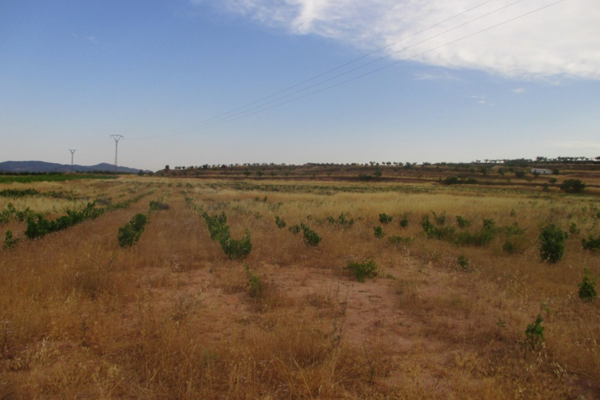 New build - Plot of Land -
Pinoso