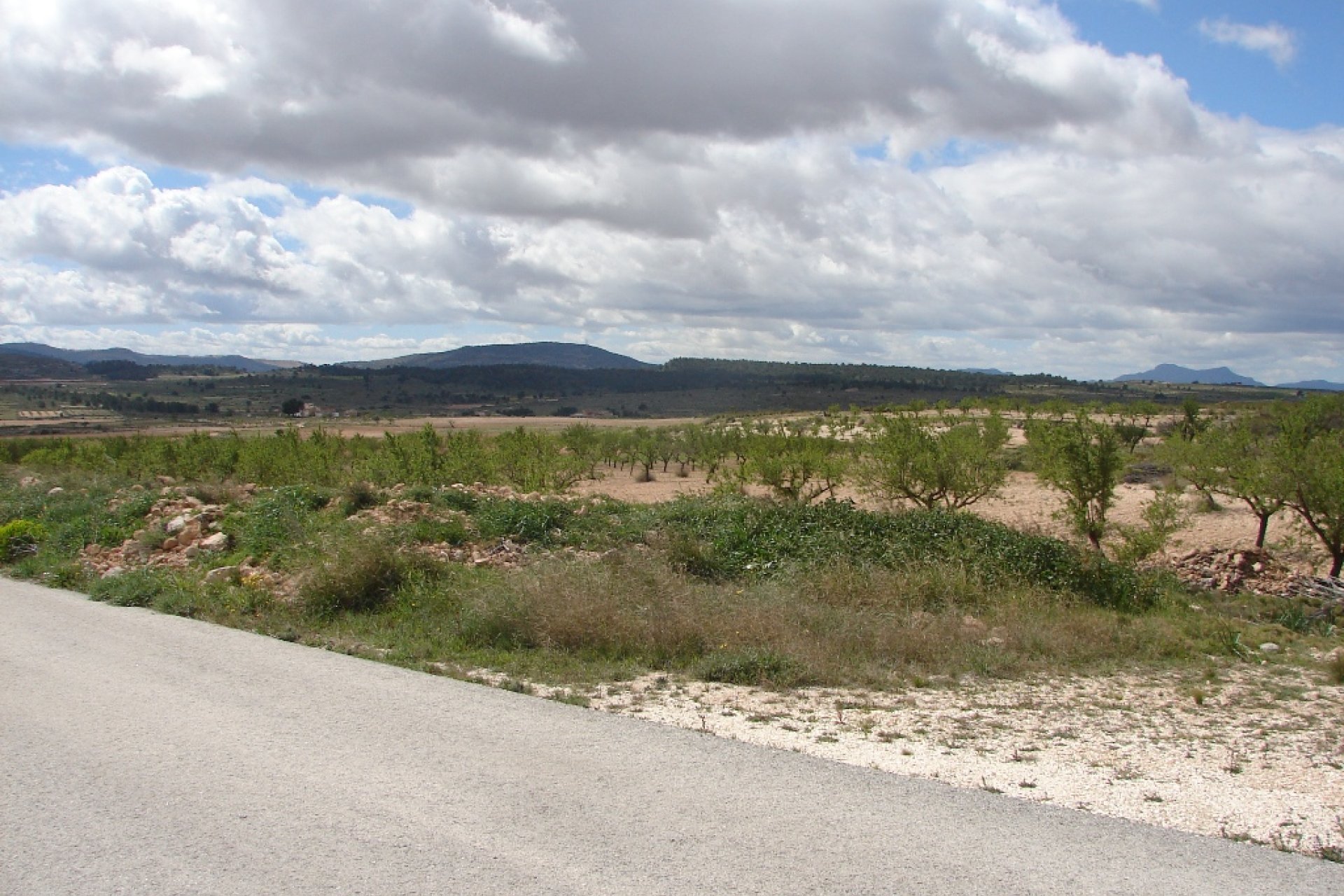 New build - Plot of Land -
Pinoso