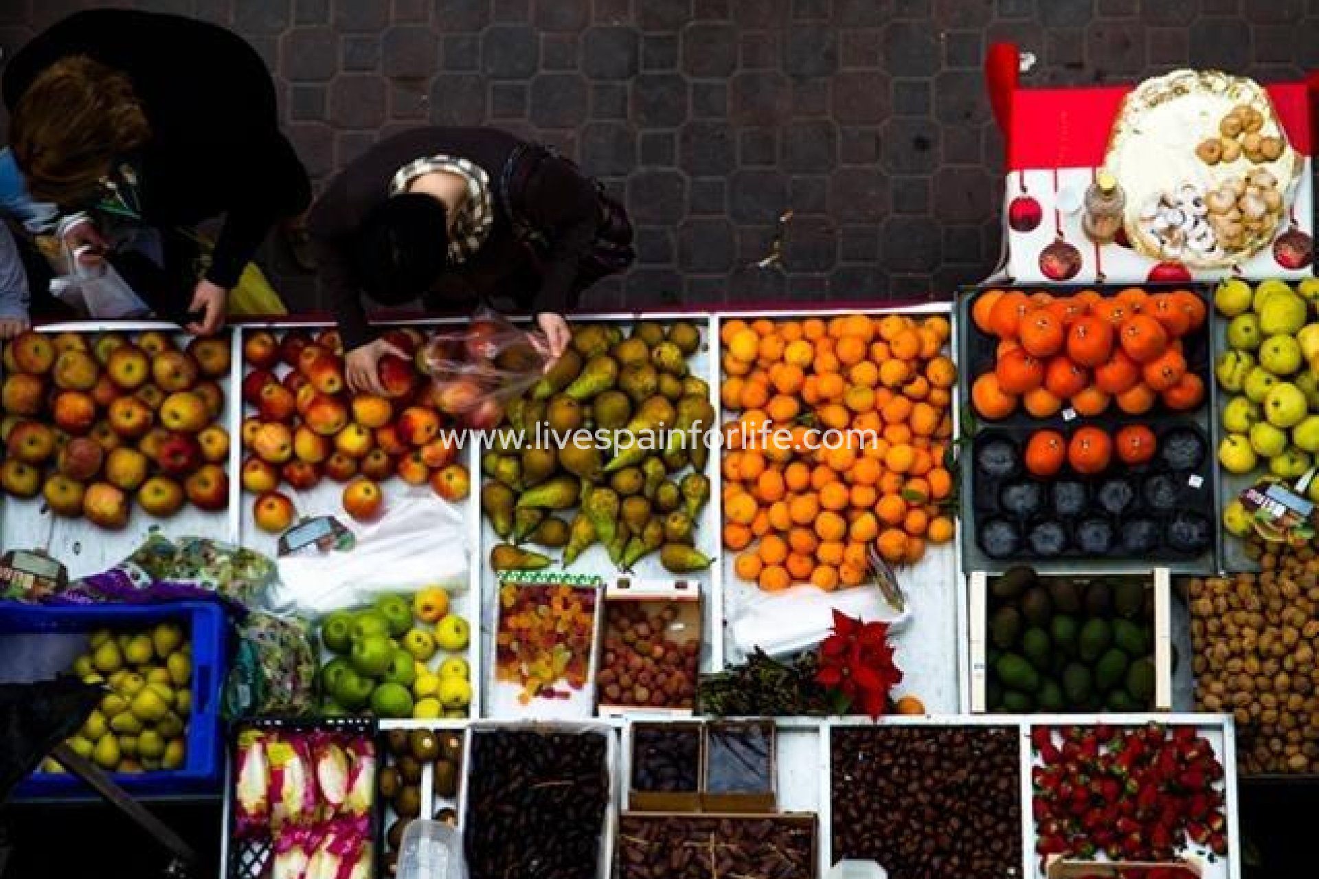 New build - Town house -
Dolores