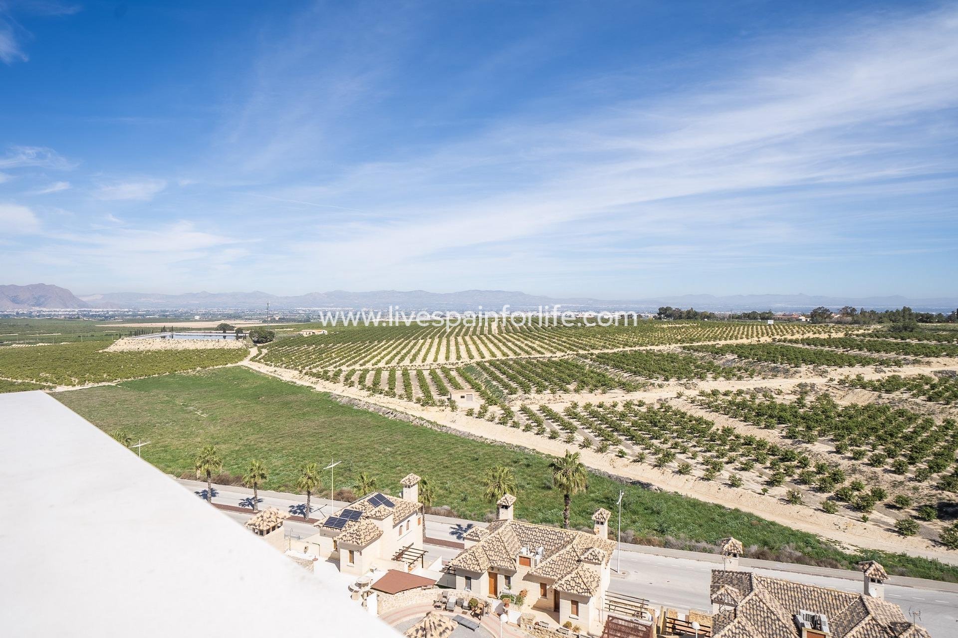 New build - Villa (detached) -
Algorfa - La Finca Golf