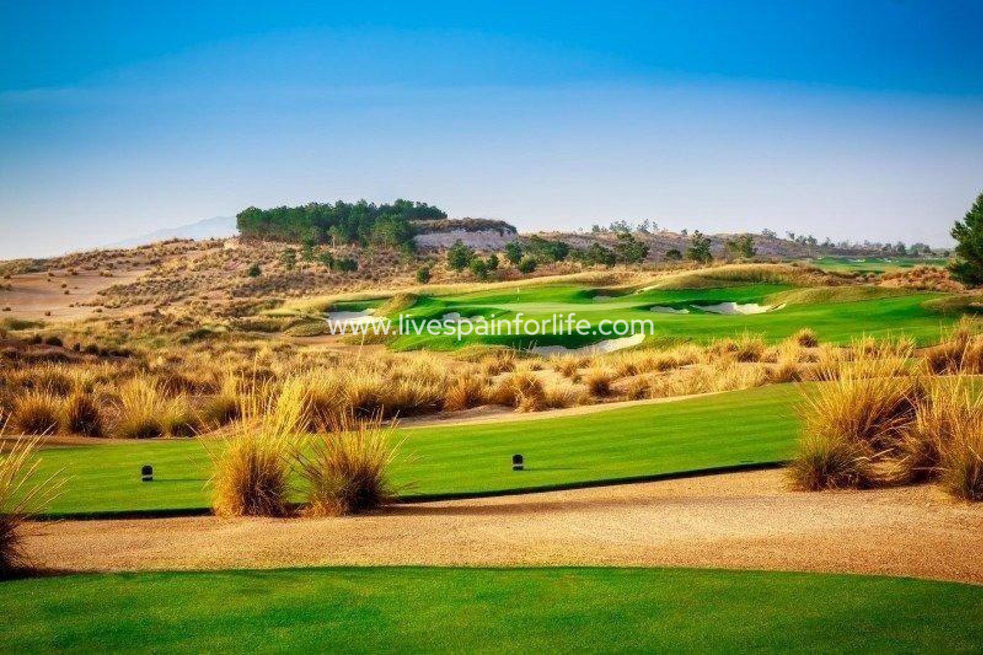 New build - Villa (detached) -
Alhama De Murcia - Condado De Alhama