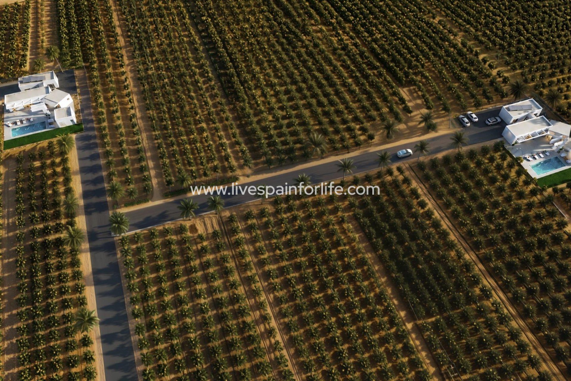 New build - Villa (detached) -
Benejuzar - alta