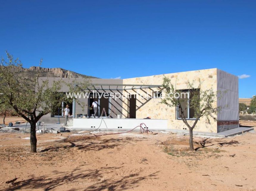 New build - Villa (detached) -
Elche