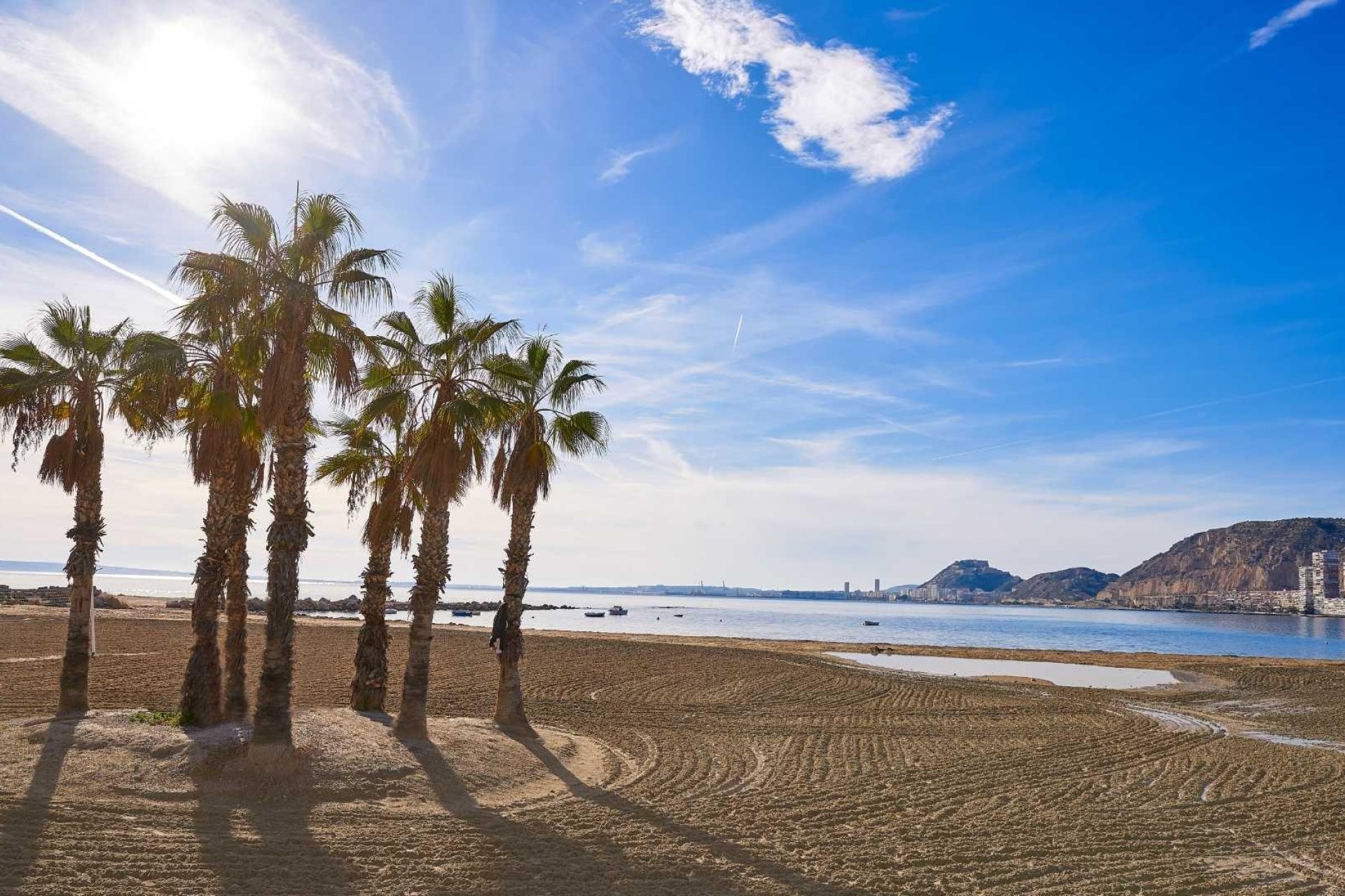 New build - Villa (detached) -
Els Poblets - Partida Barranquets