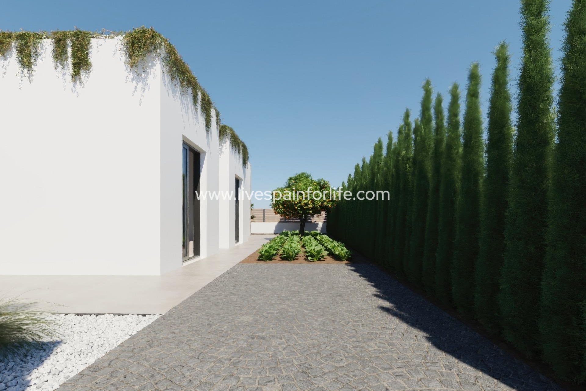 New build - Villa (detached) -
Fuente Álamo - Hacienda del Alamo