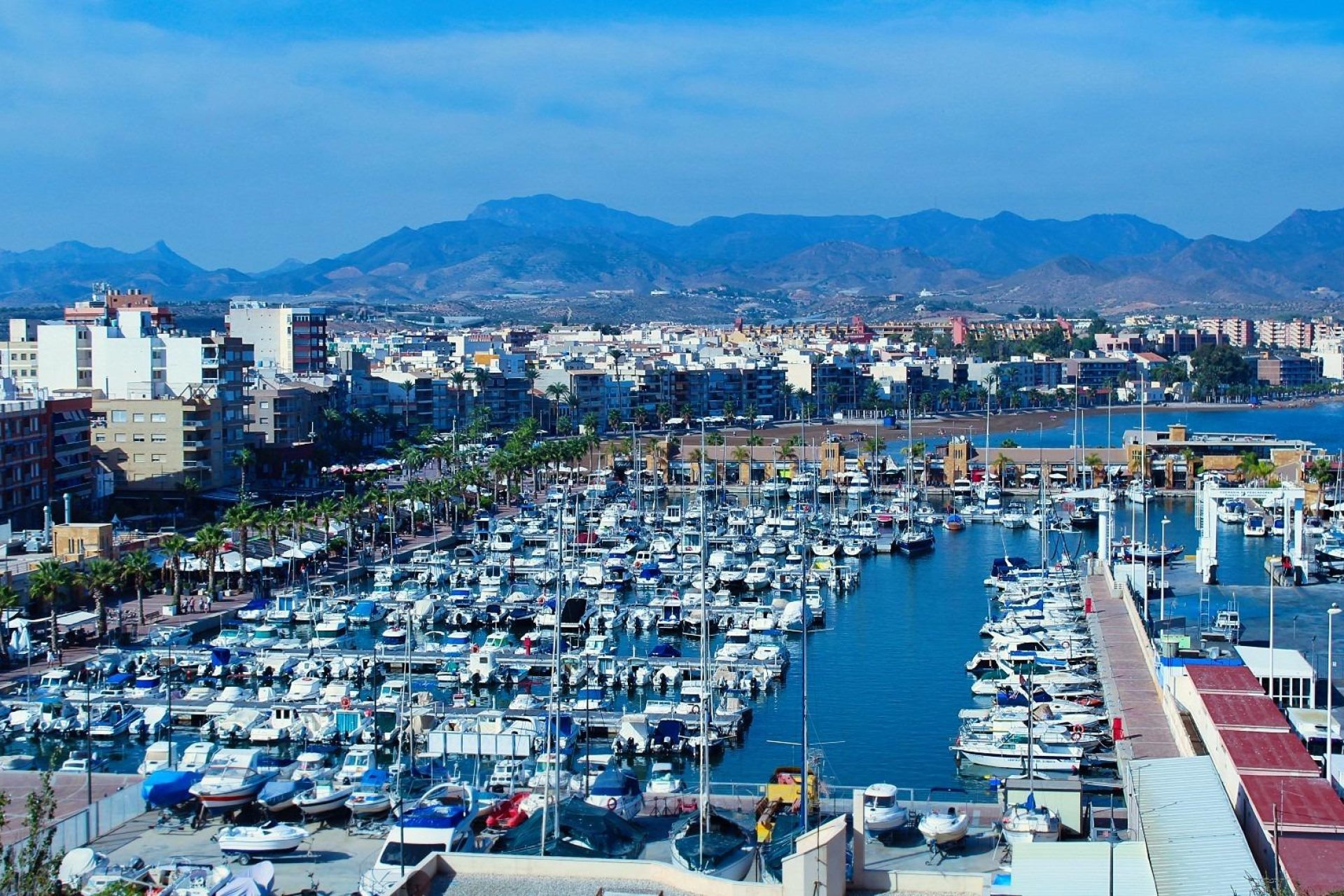 New build - Villa (detached) -
Fuente Álamo - La Pinilla