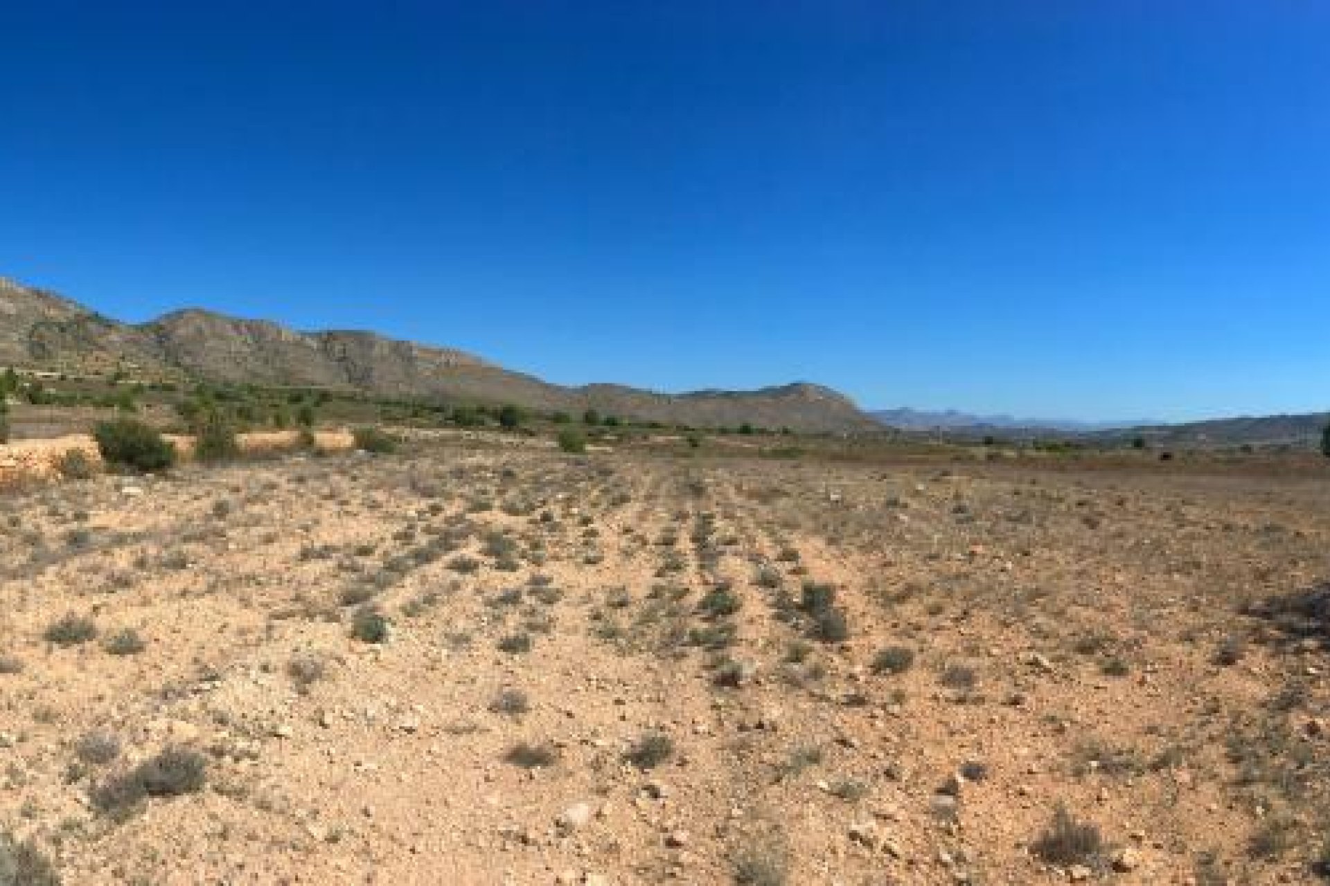 New build - Villa (detached) -
Hondon De Las Nieves