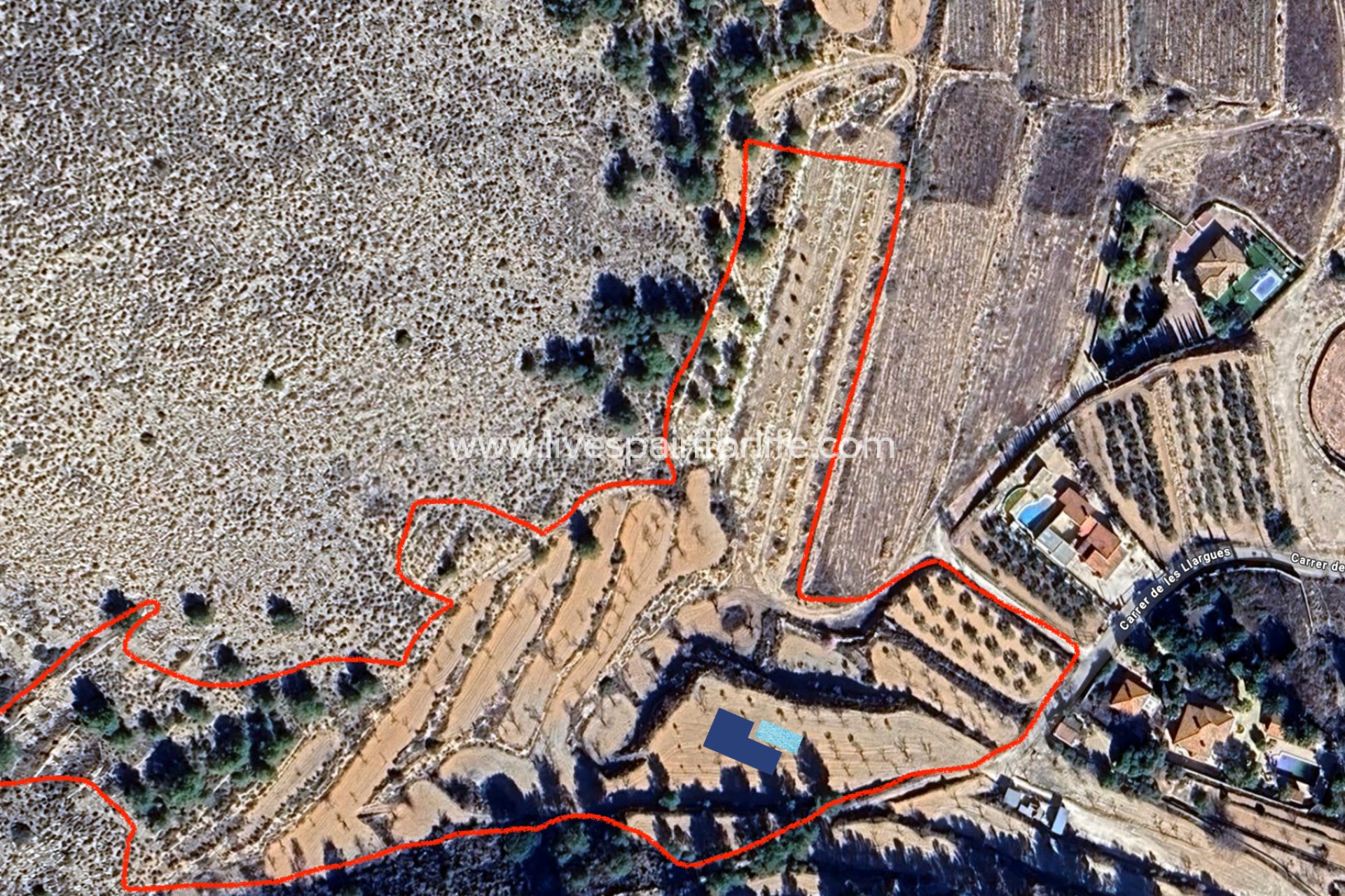 New build - Villa (detached) -
La Romana