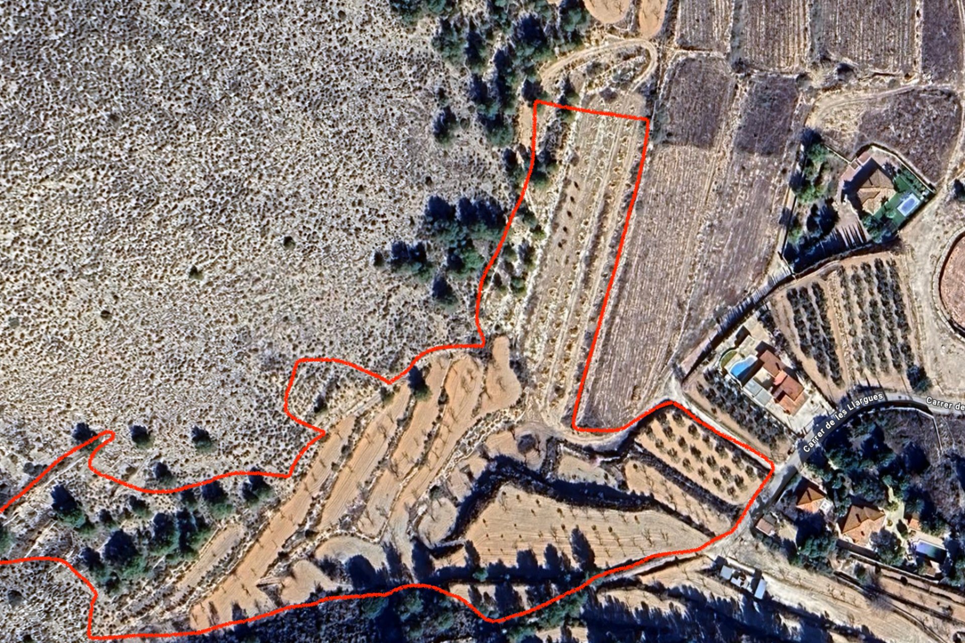 New build - Villa (detached) -
La Romana