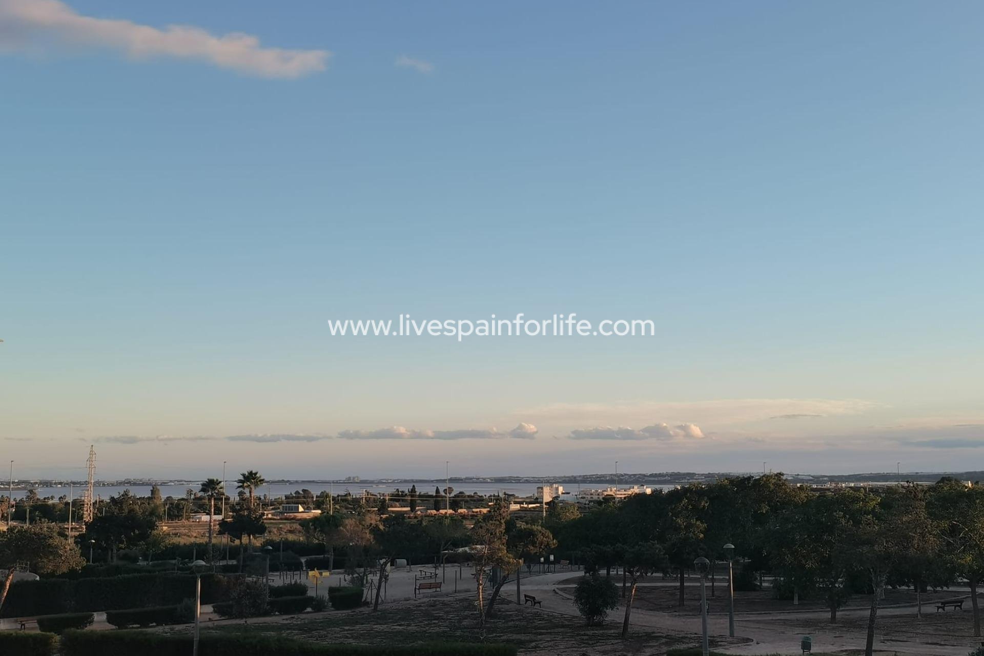 New build - Villa (detached) -
Los Montesinos - La Herrada