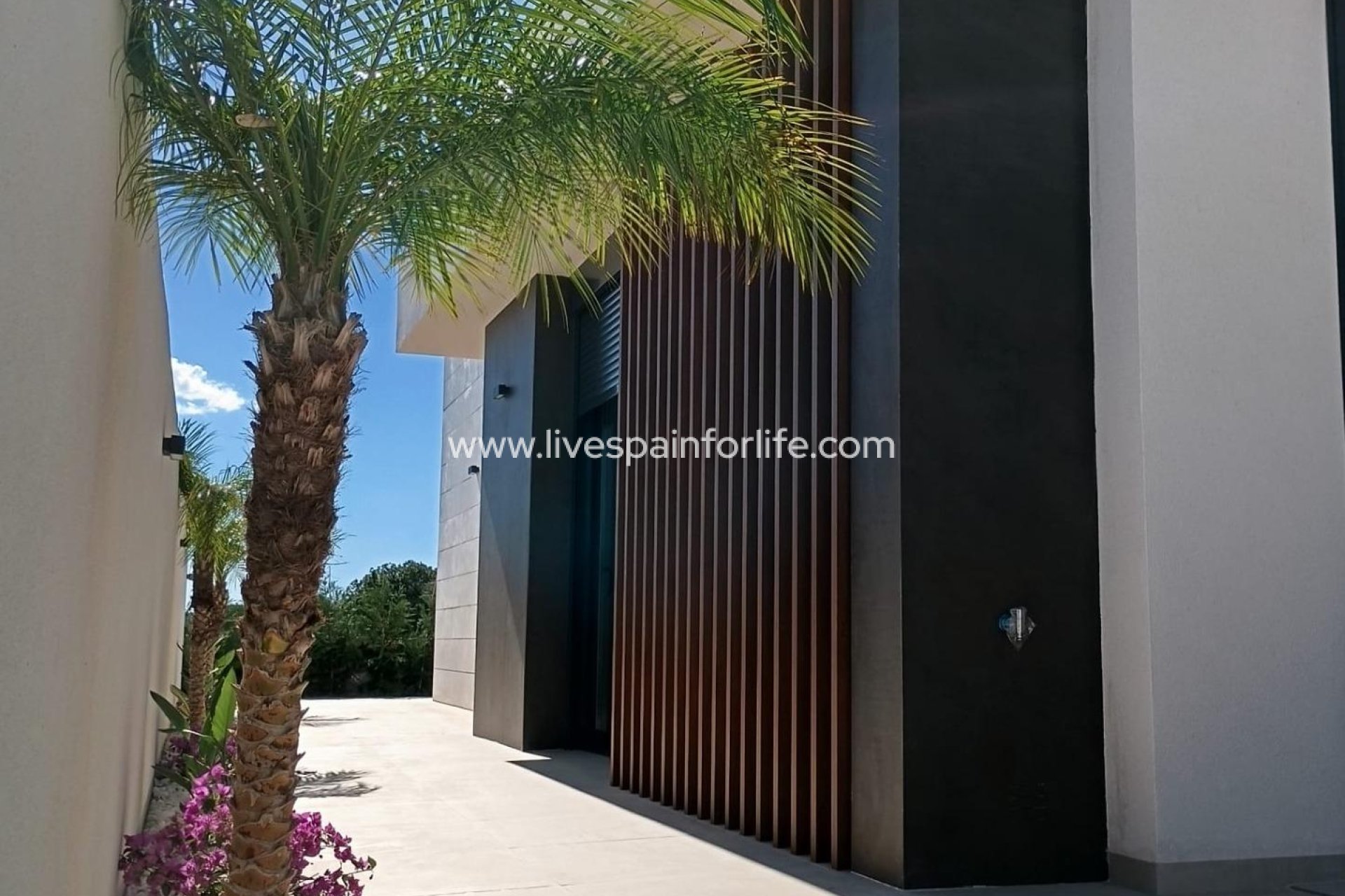 New build - Villa (detached) -
Pilar de la Horadada - Roda Golf
