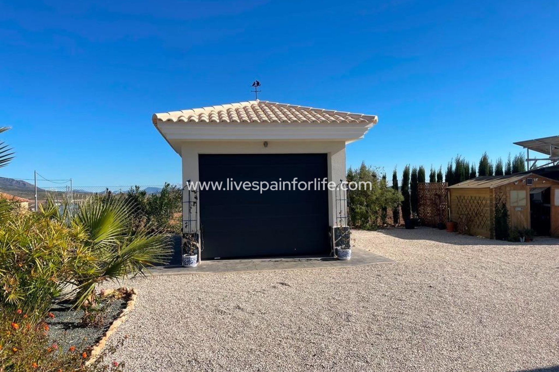 New build - Villa (detached) -
Pinoso - Camino Del Prado