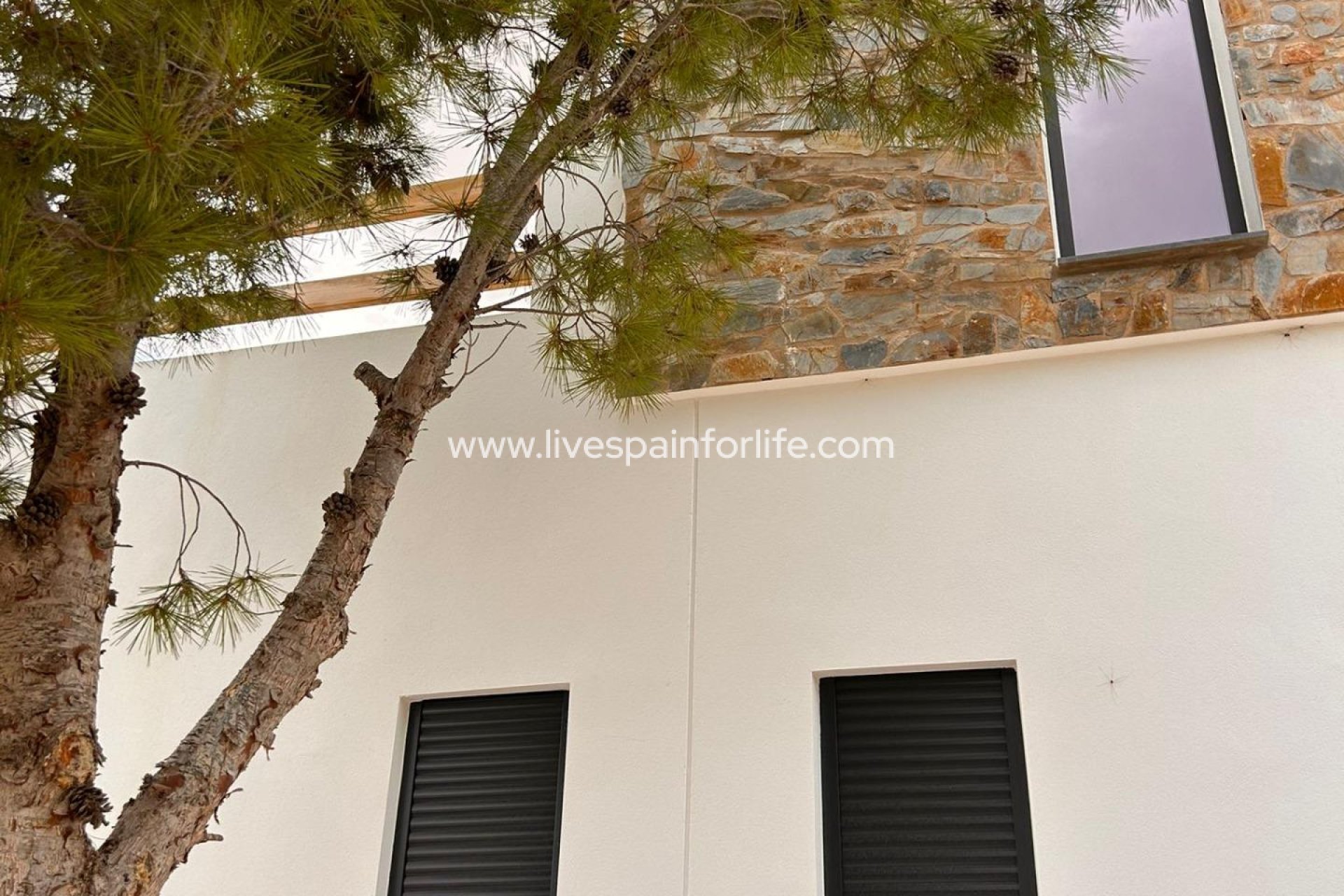 New build - Villa (detached) -
Pinoso - Casas Pastor