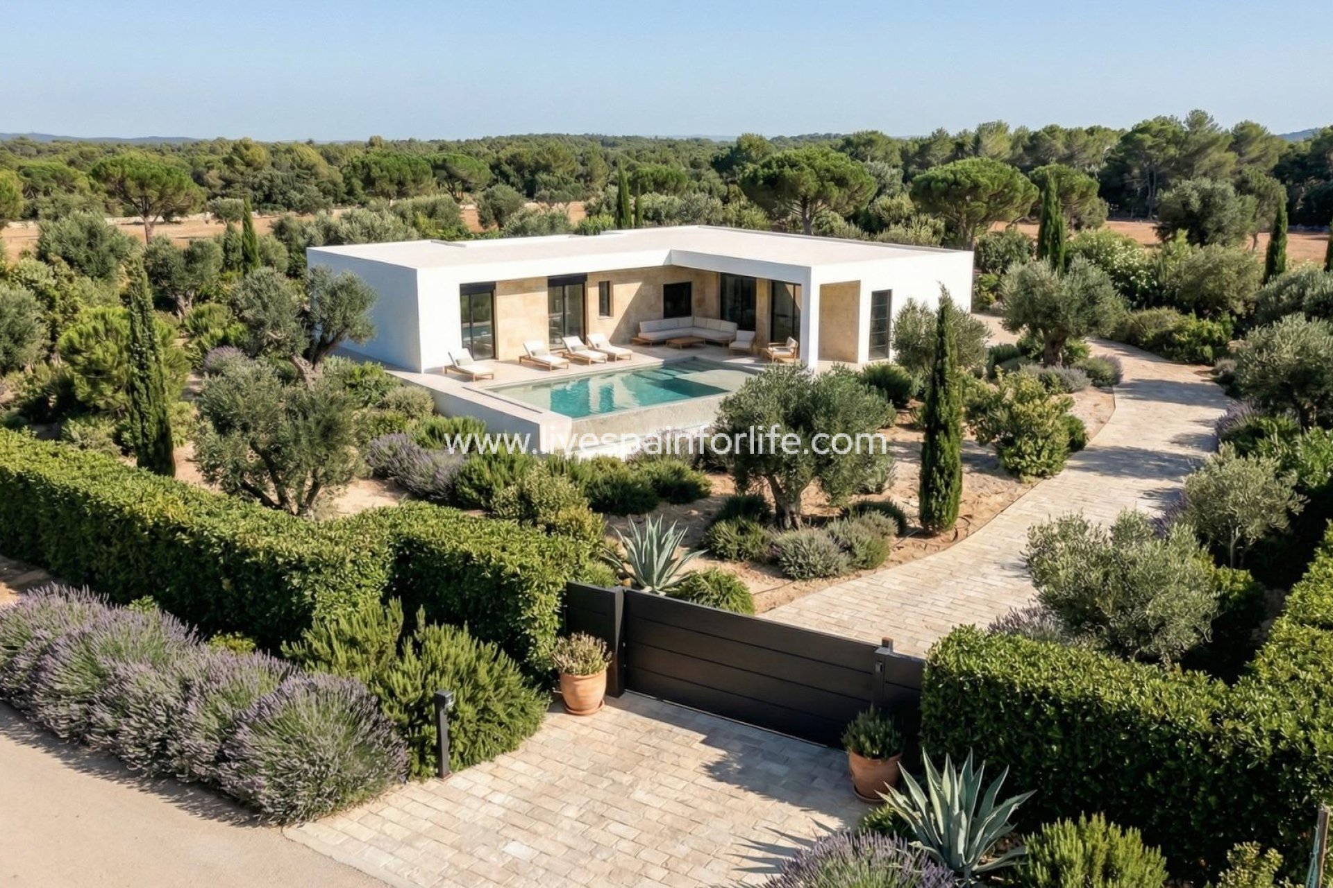 New build - Villa (detached) -
Pinoso - Casas Pastor