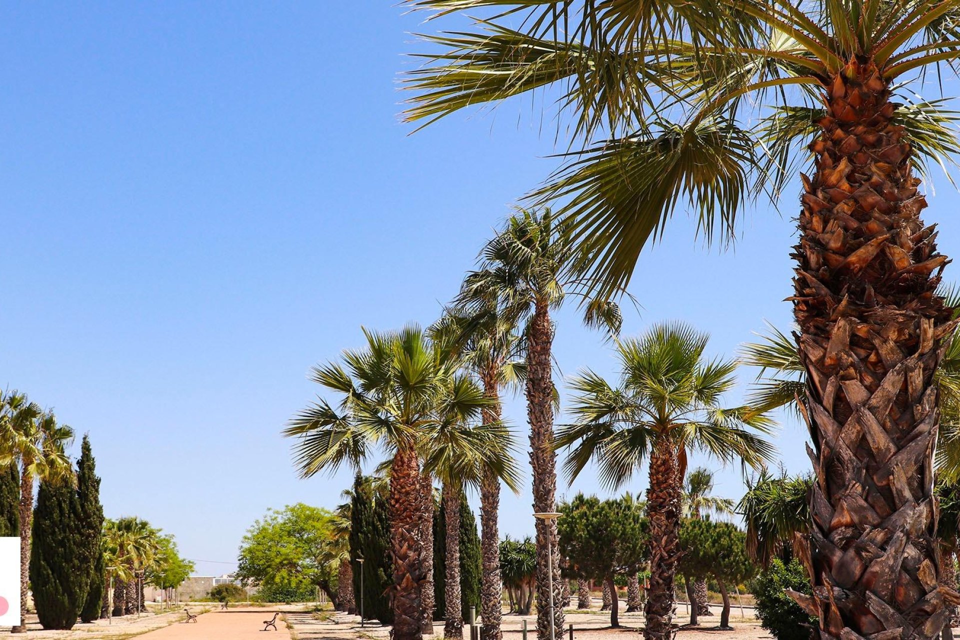 New build - Villa (detached) -
San Fulgencio - La Escuera