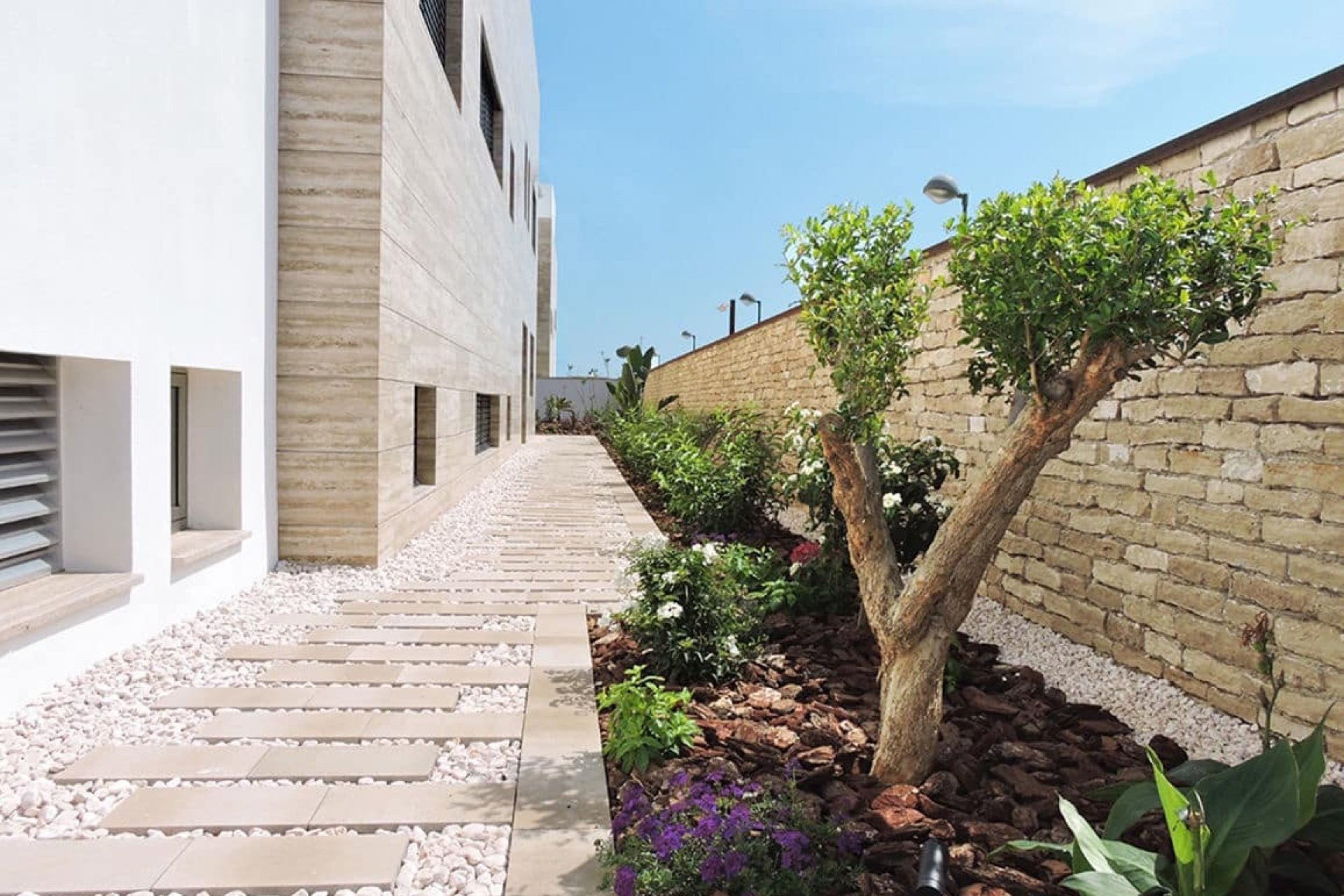 New build - Villa (detached) -
Torre de la Horadada