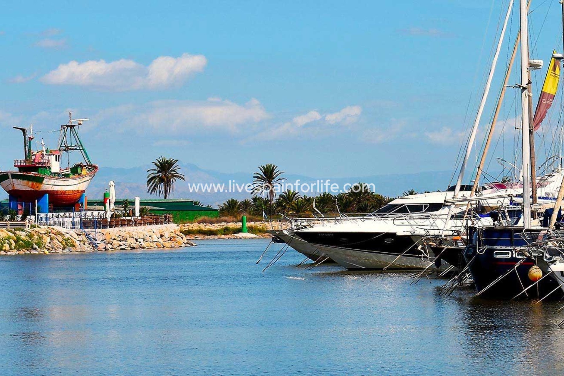 Nieuwbouw - Apartments -
Guardamar del Segura - Avda del Puerto