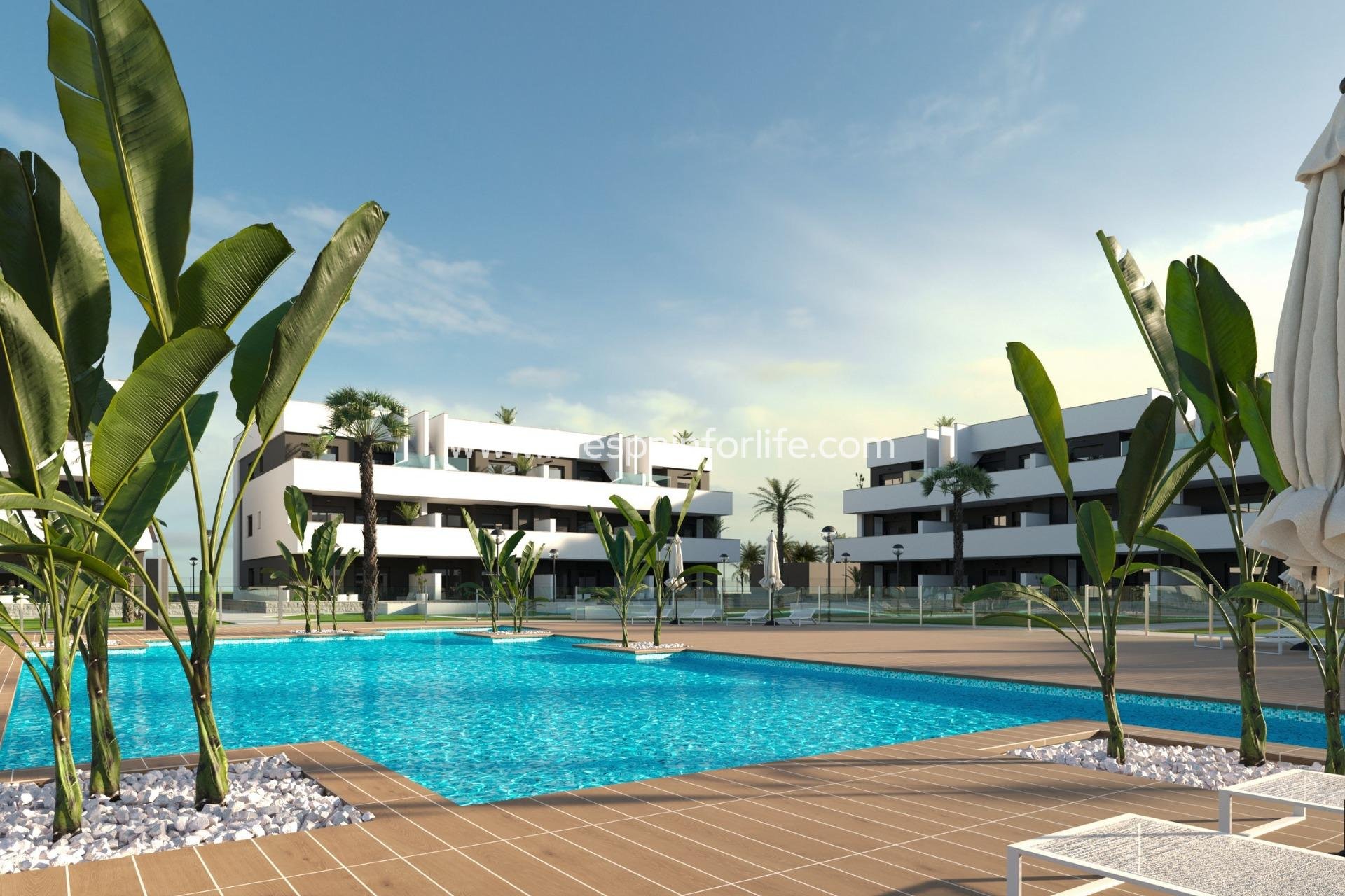 Nieuwbouw - Apartments -
Guardamar del Segura - El Raso