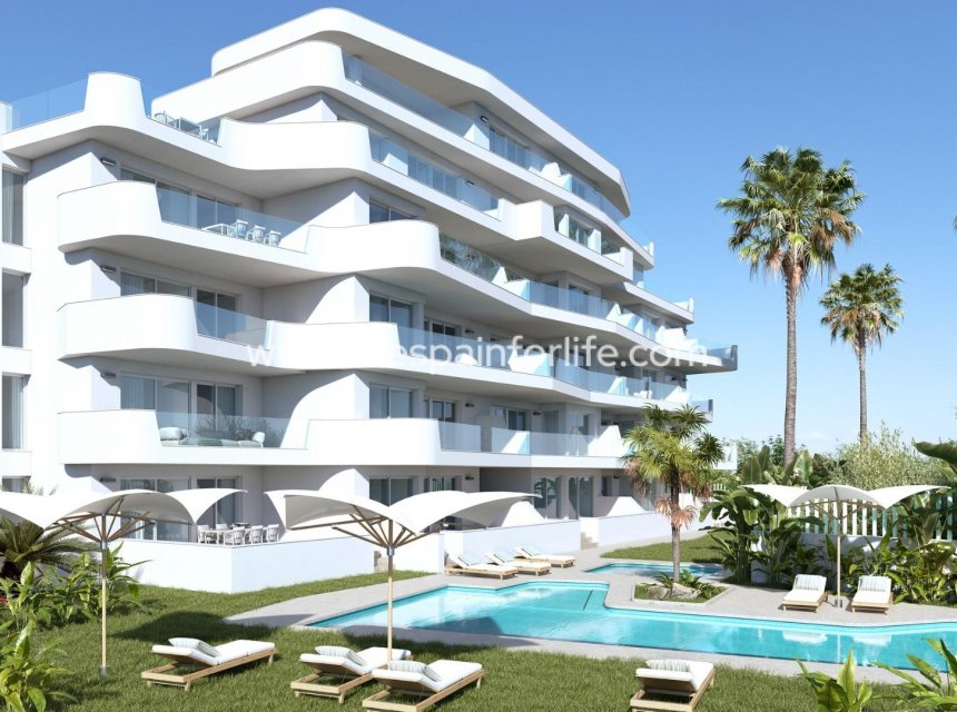 Nieuwbouw - Apartments -
Pilar de la Horadada - Mil Palmeras