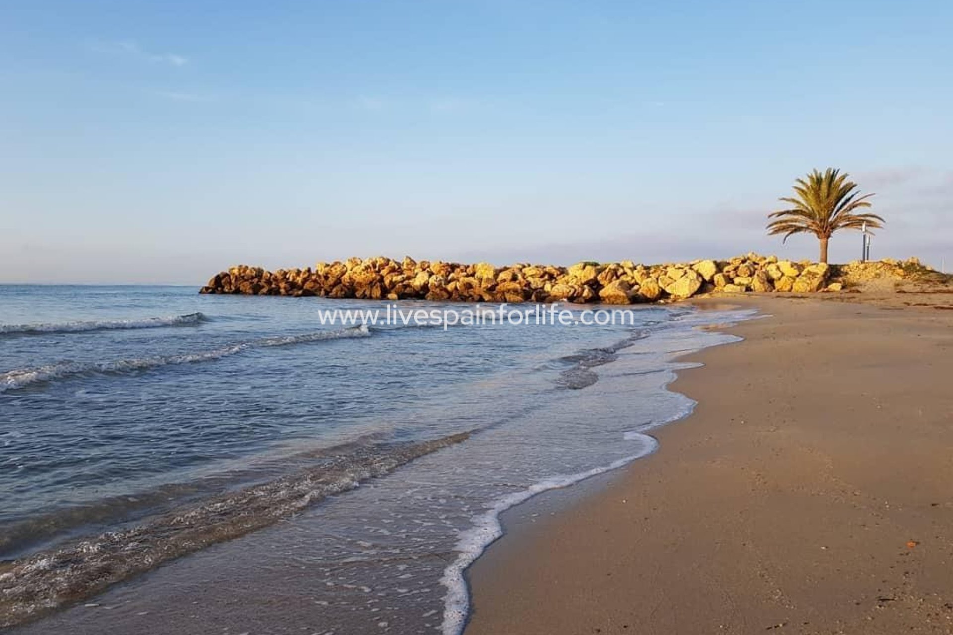 Nieuwbouw - Apartments -
Santa Pola - Playa Tamarit