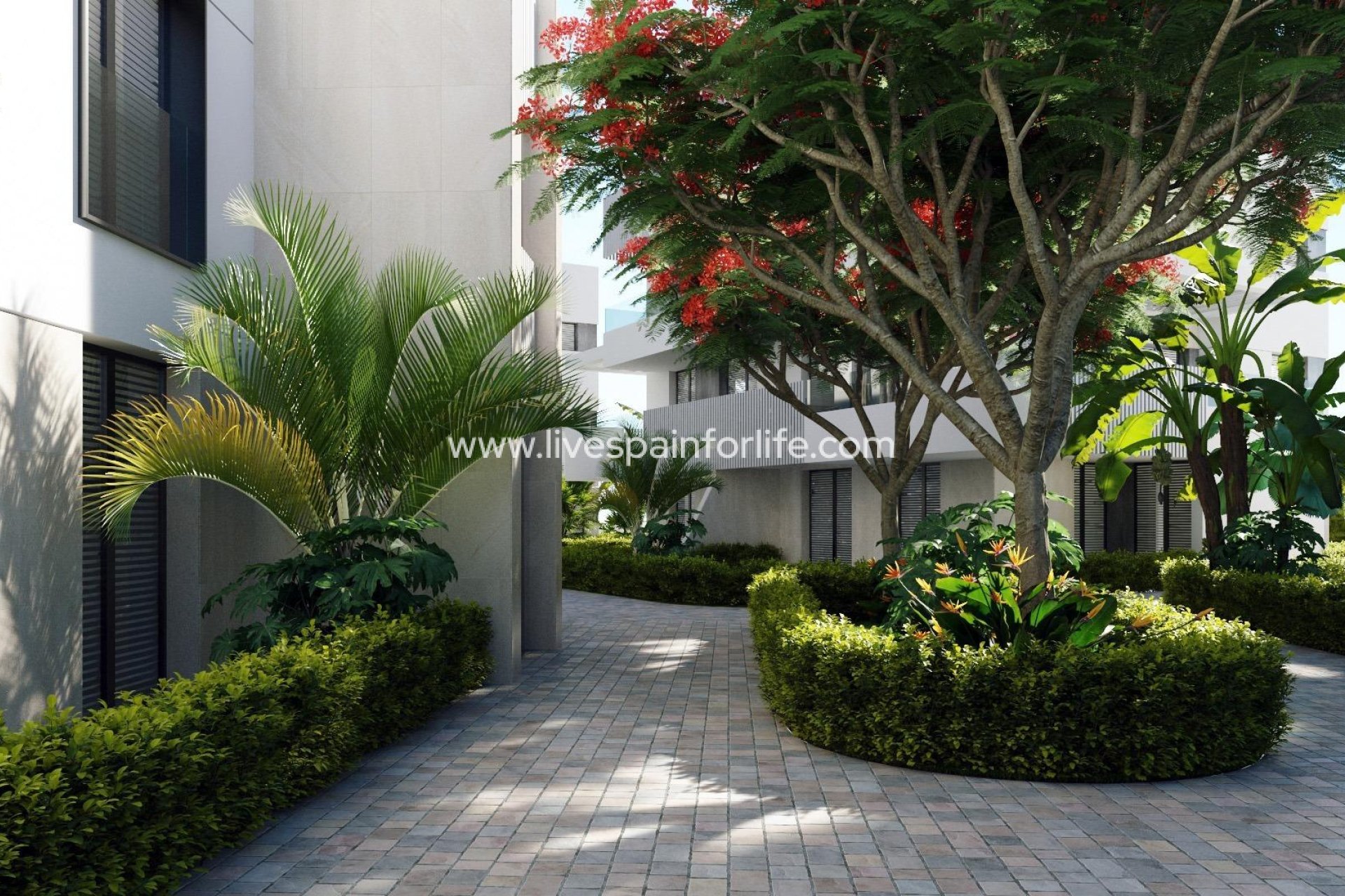 Nieuwbouw - Apartments -
Torre Pacheco - Santa Rosalía