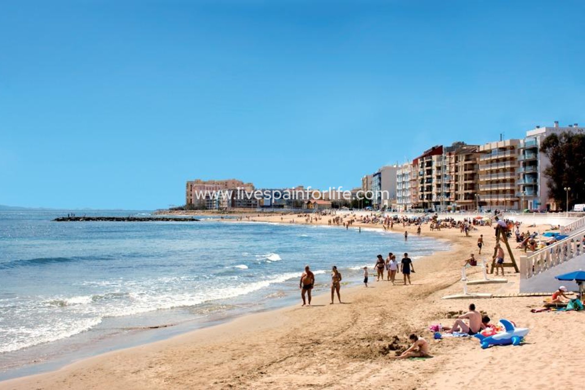 Nieuwbouw - Apartments -
Torrevieja - Playa De Los Locos