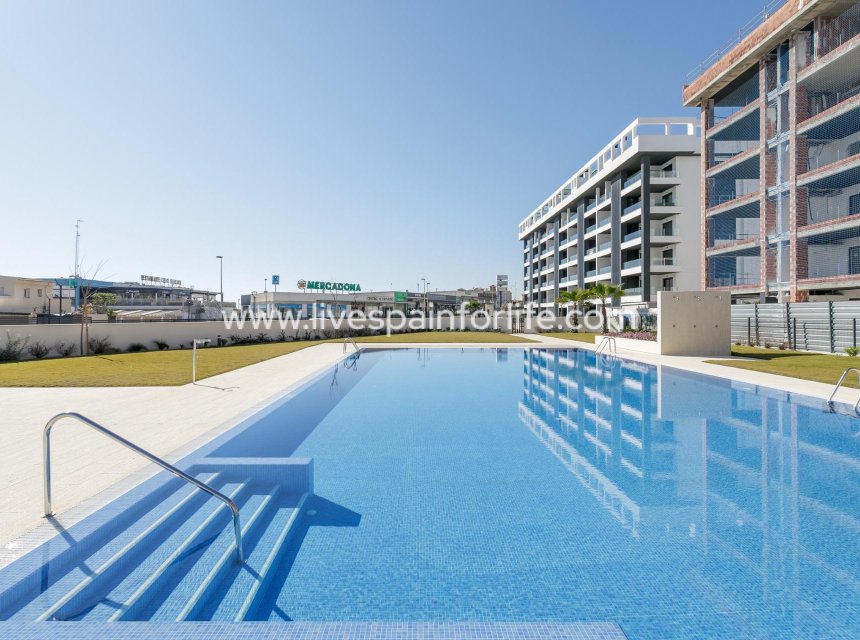 Nieuwbouw - Apartments -
Torrevieja - Torreblanca