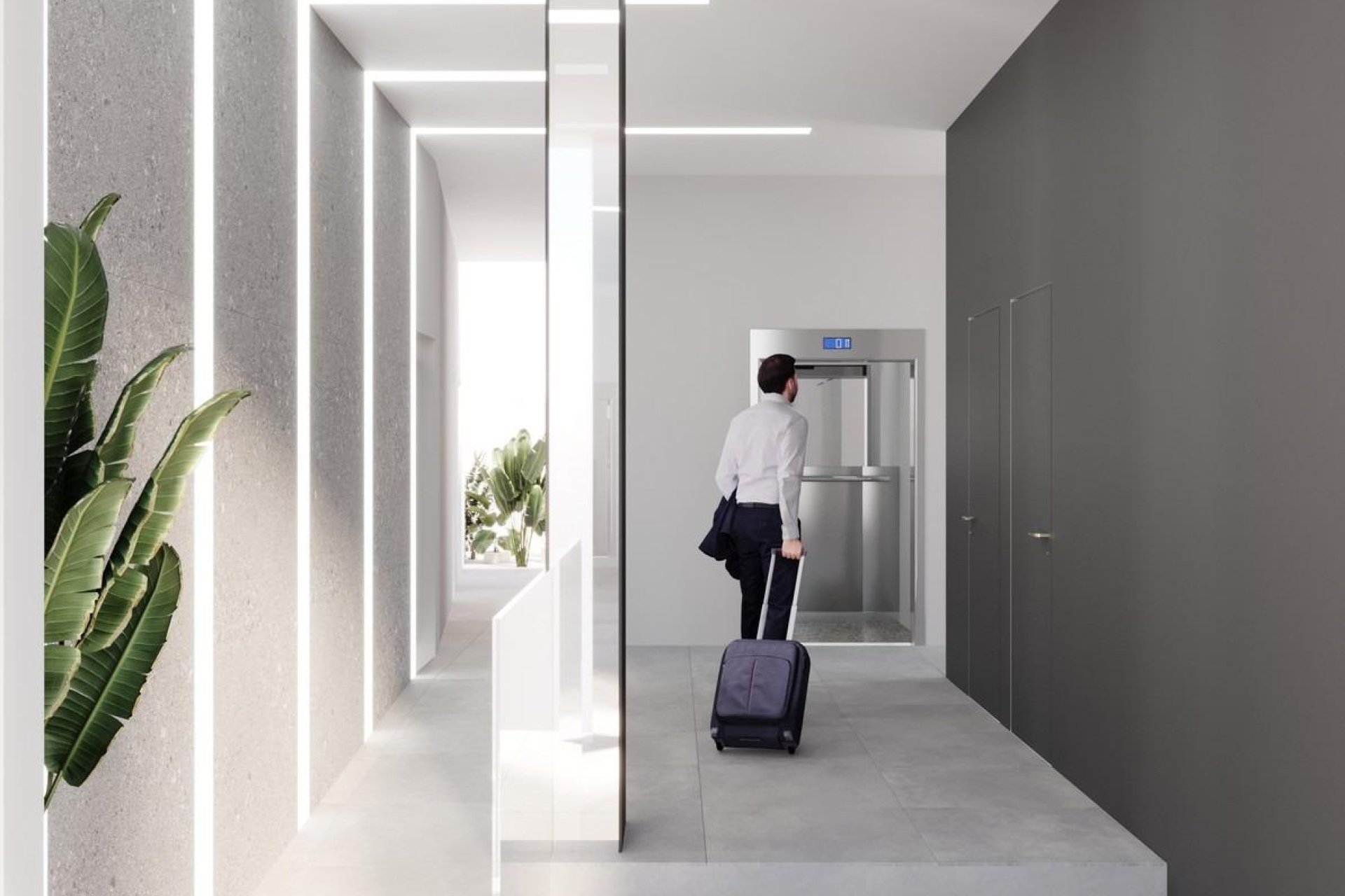 Nieuwbouw - Apartments -
Torrevieja