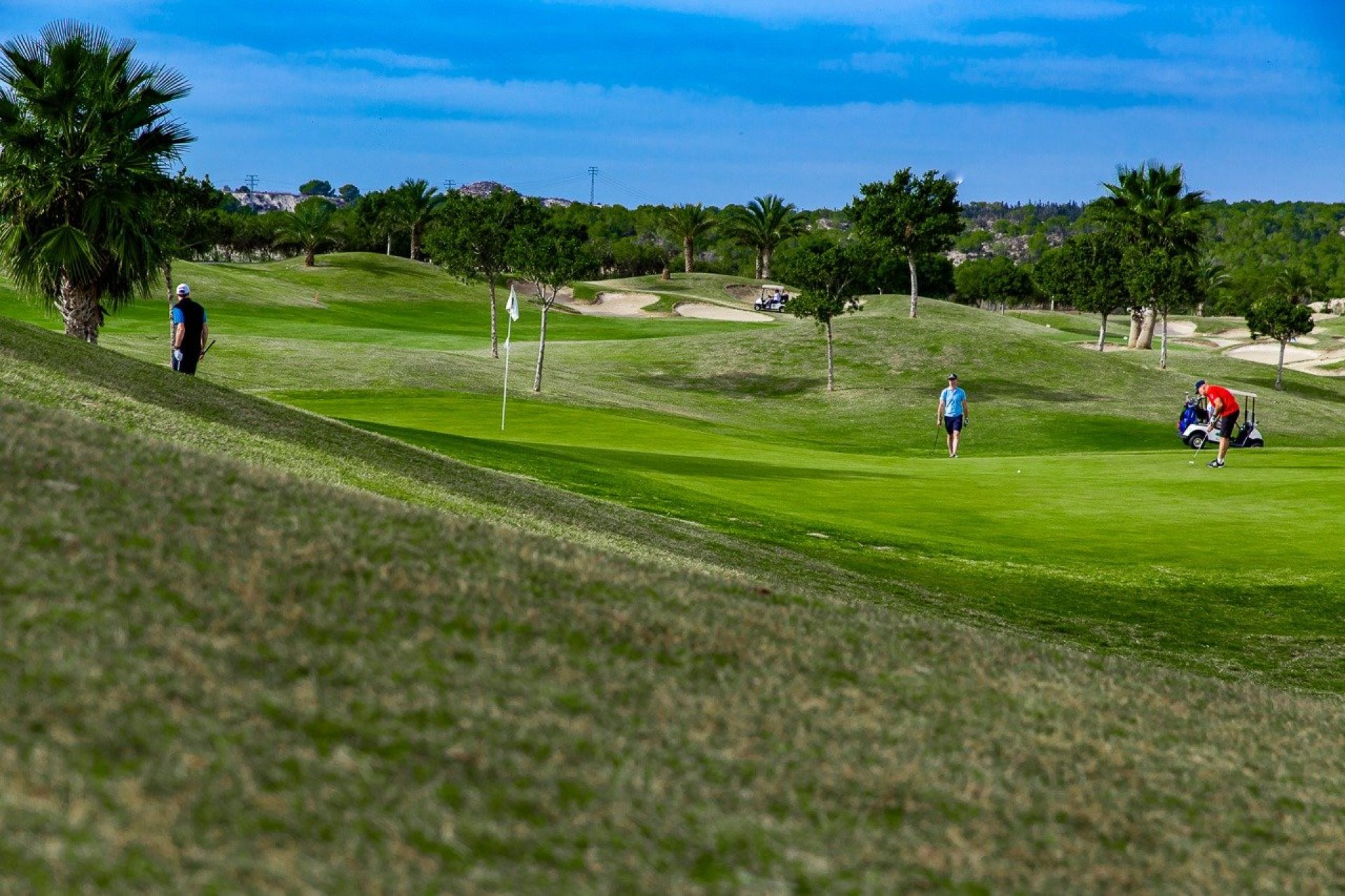 Nieuwbouw - Bungalow -
Orihuela - Vistabella Golf